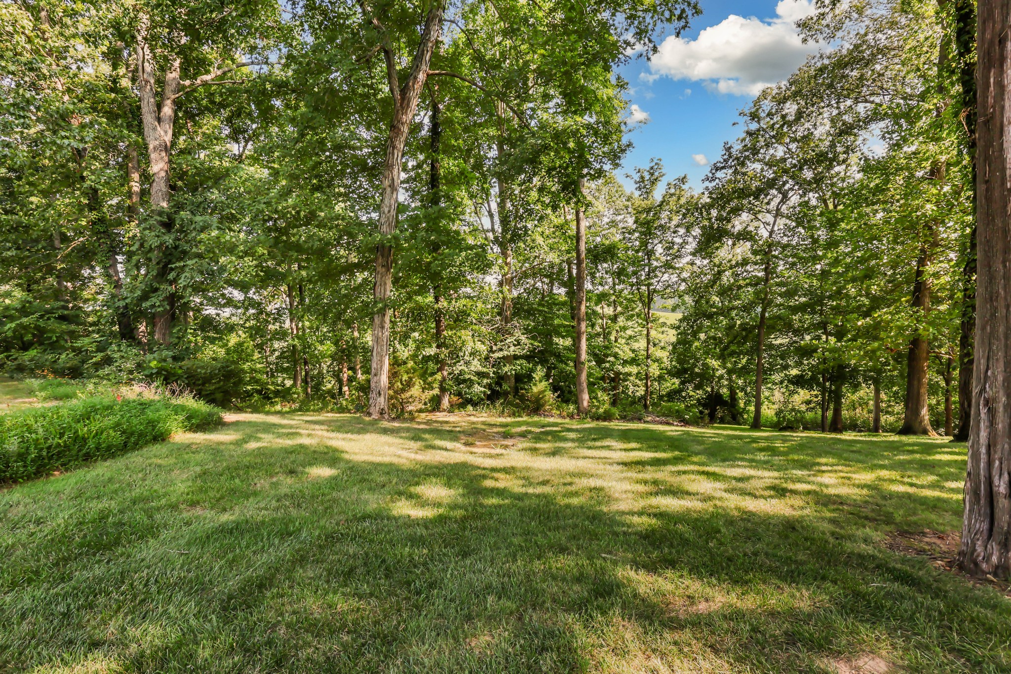 241 Sequoyah Trl Property Photo 40
