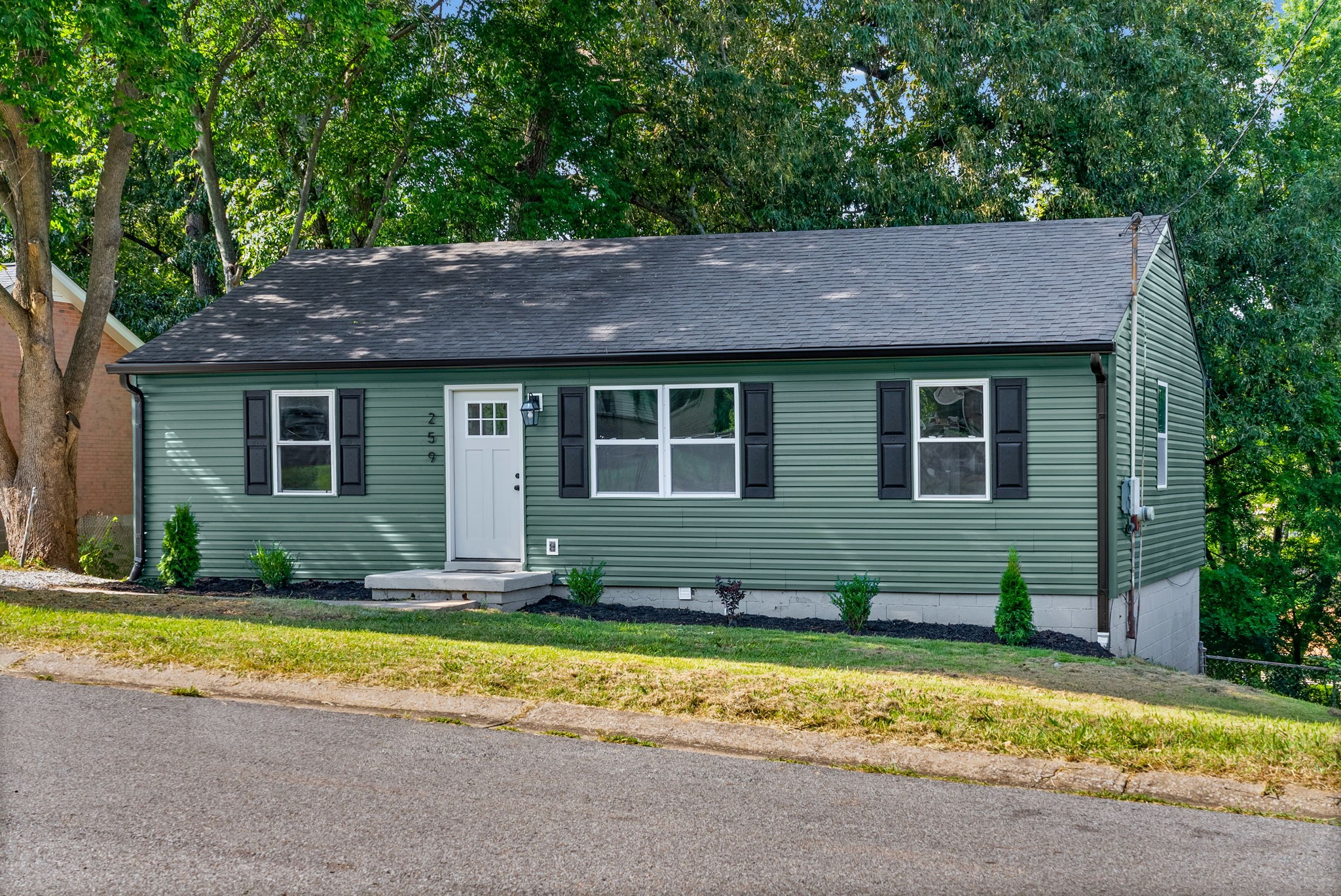 259 Raintree Dr Property Photo 3