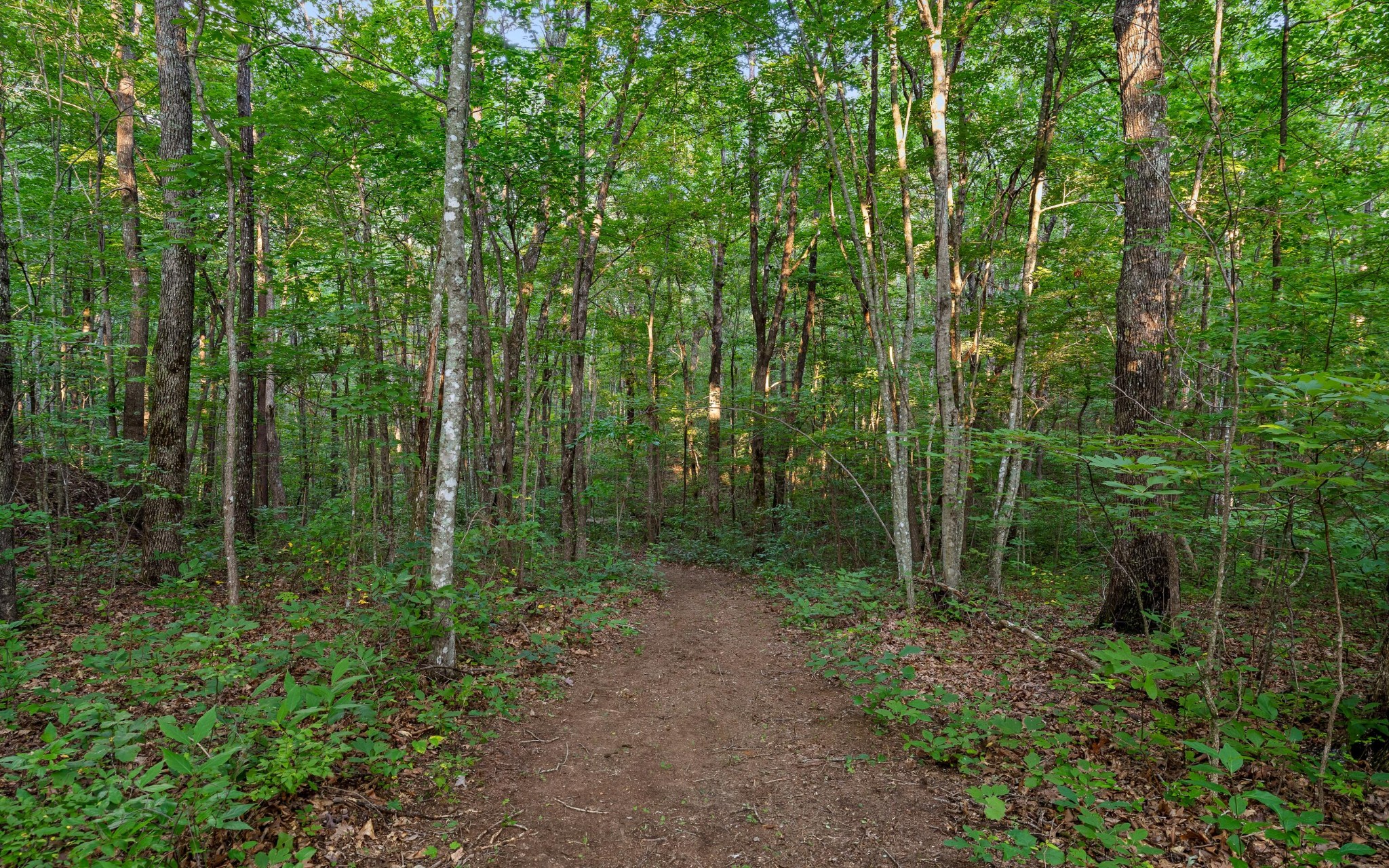 783 Leather Gap Road Property Photo 30