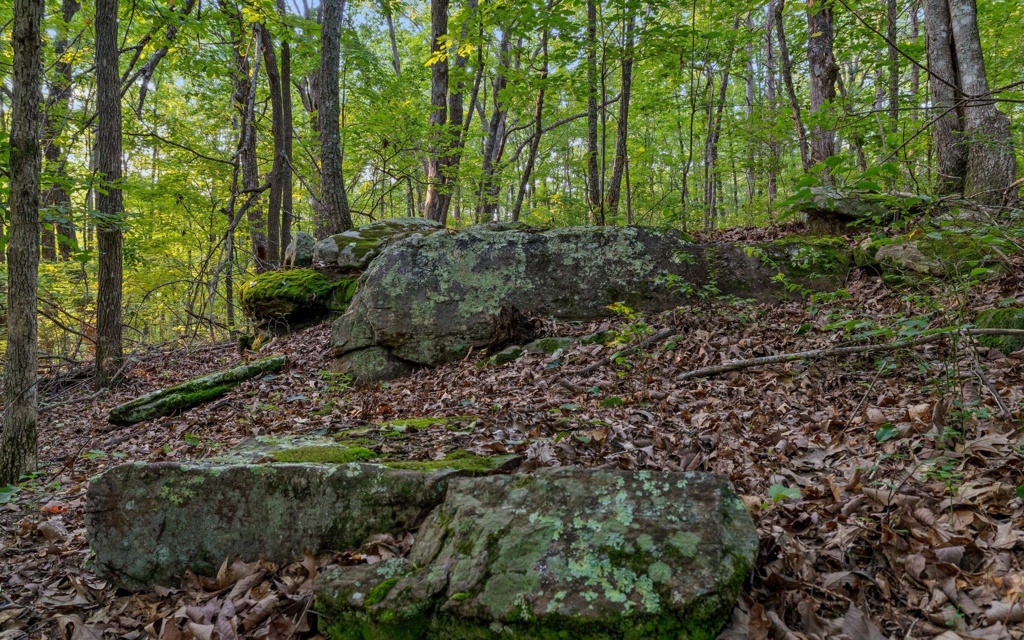 783 Leather Gap Road Property Photo 31