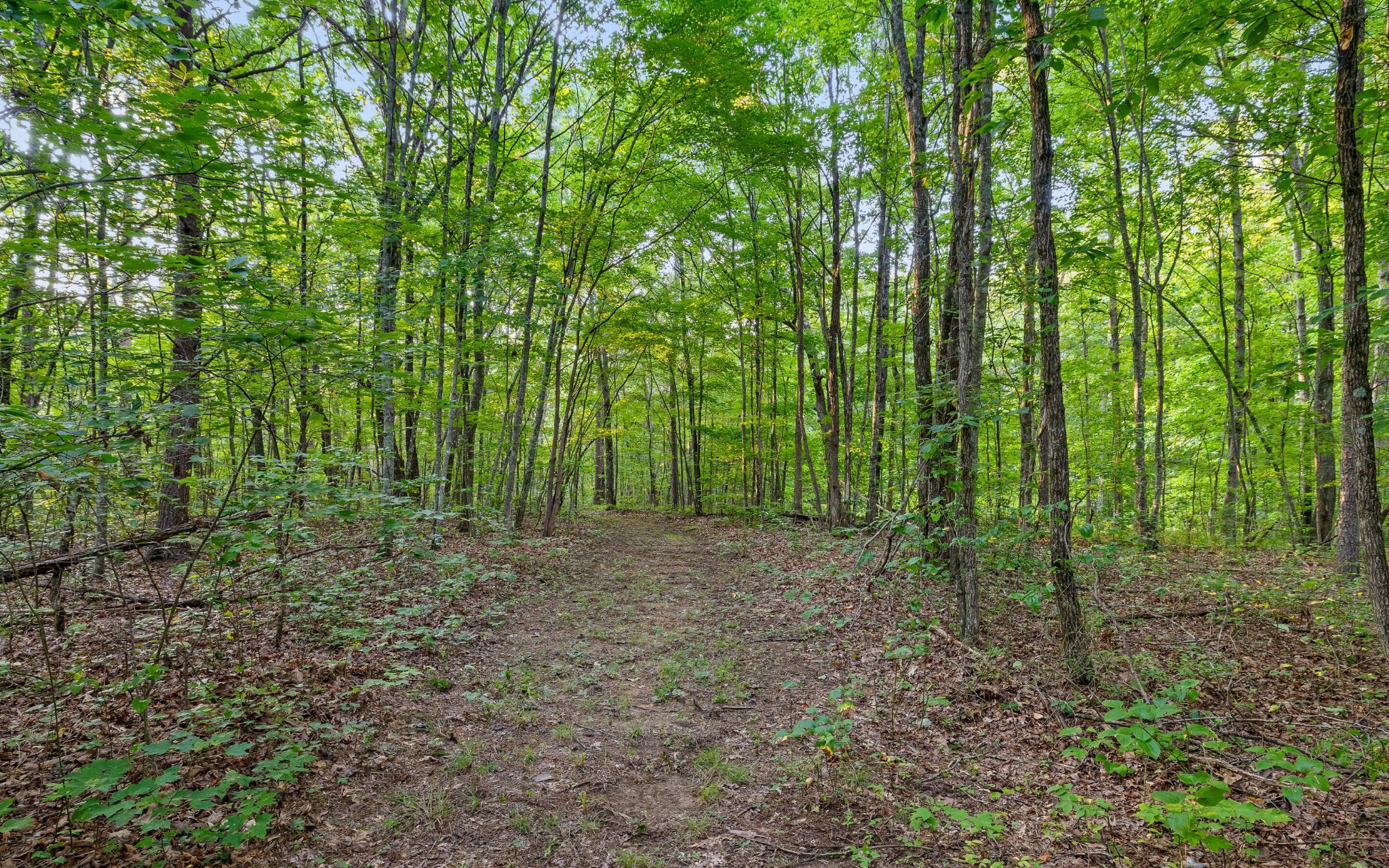 783 Leather Gap Road Property Photo 33