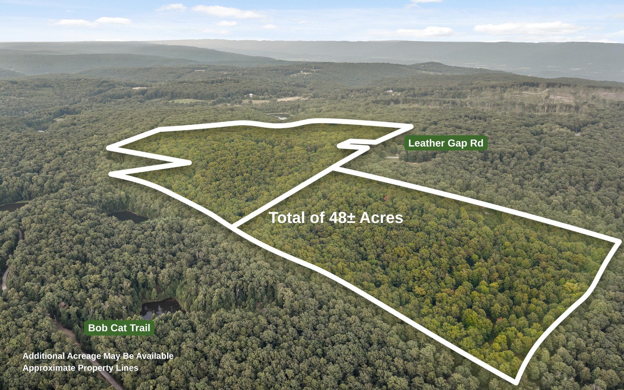 783 Leather Gap Road Property Photo 44