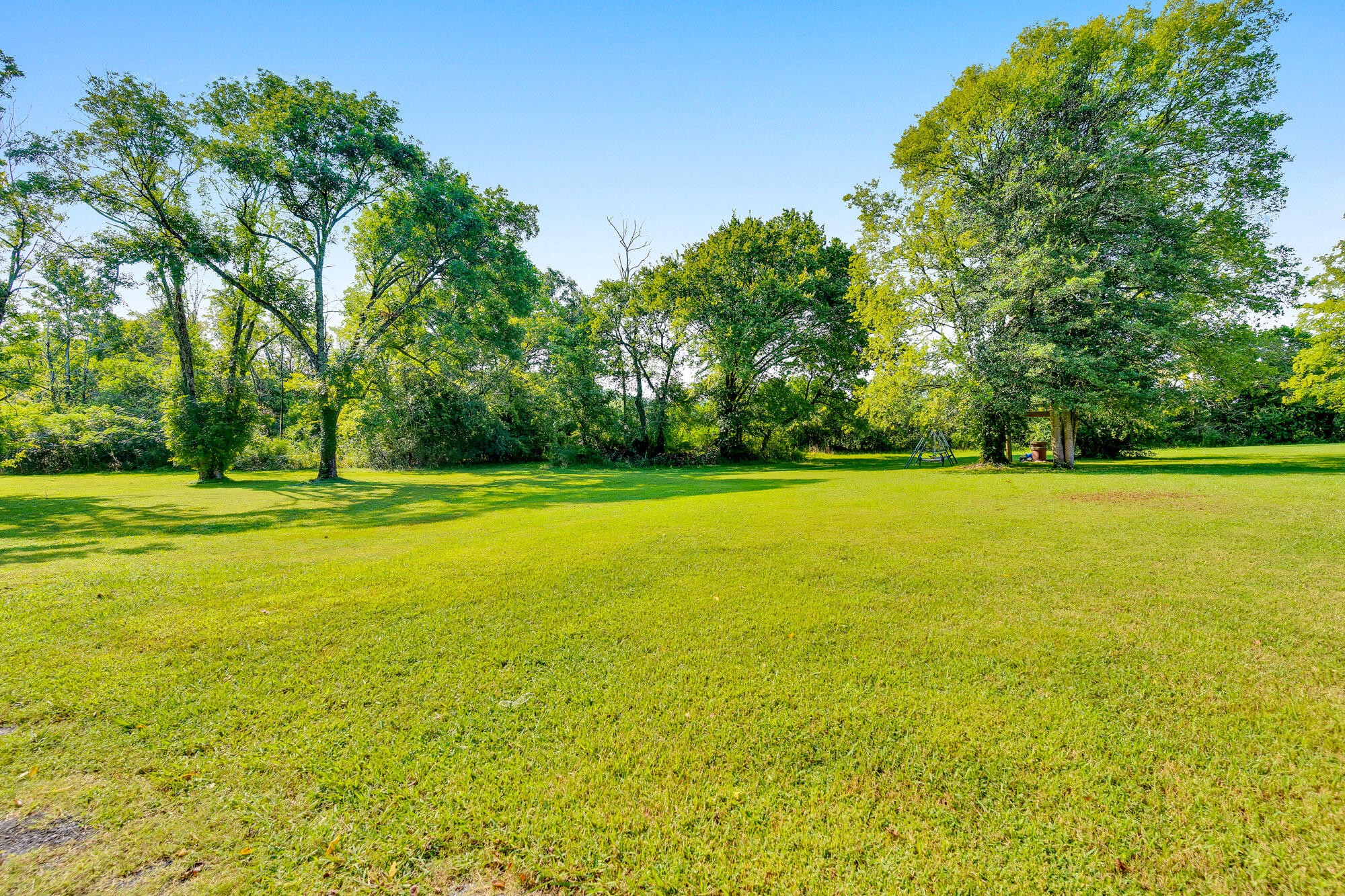 8267 Highway 193 Property Photo 14