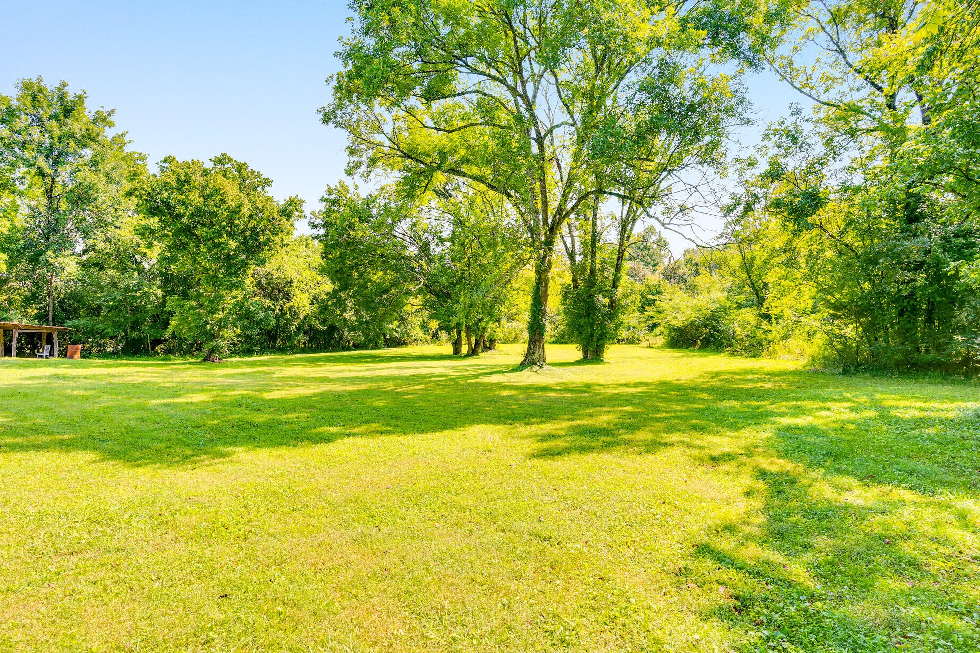 8267 Highway 193 Property Photo 36