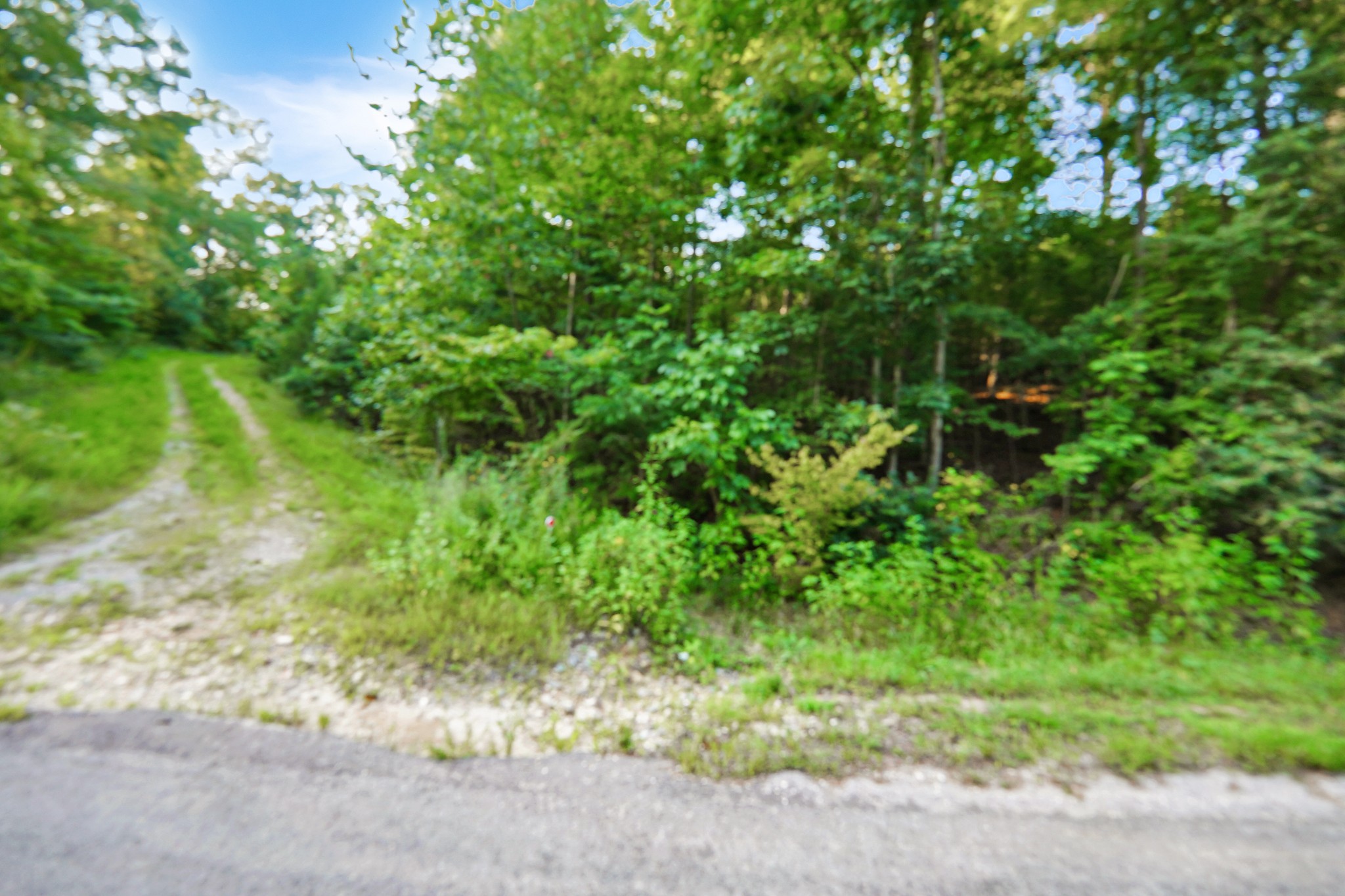 4 Cox Hollow Road Property Photo 1