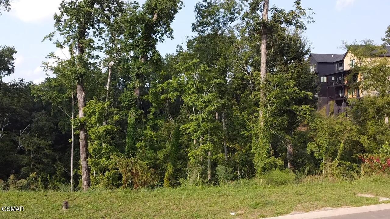 144 Reedmont Way Property Photo 1