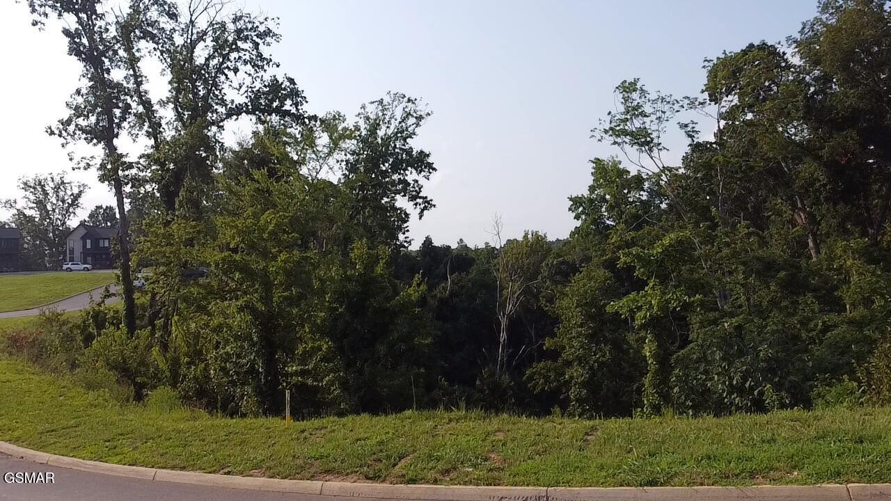 145 Reedmont Way Property Photo 2