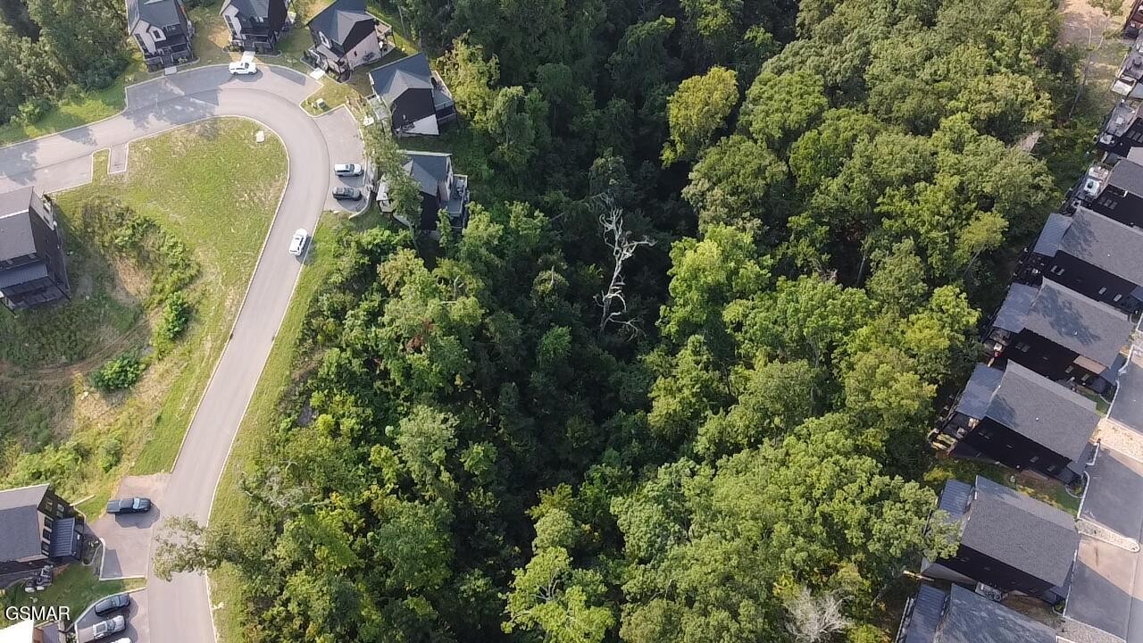 145 Reedmont Way Property Photo 6