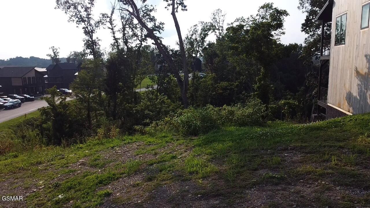 145 Reedmont Way Property Photo 8