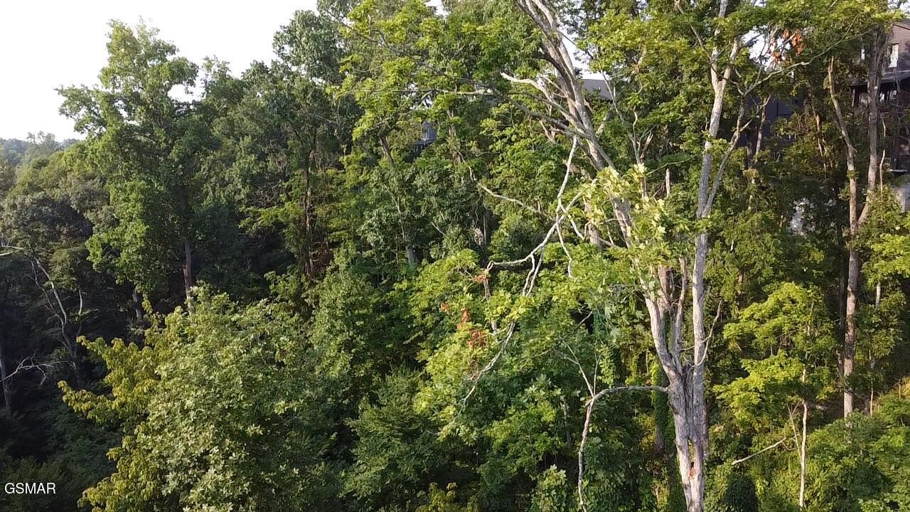 145 Reedmont Way Property Photo 11