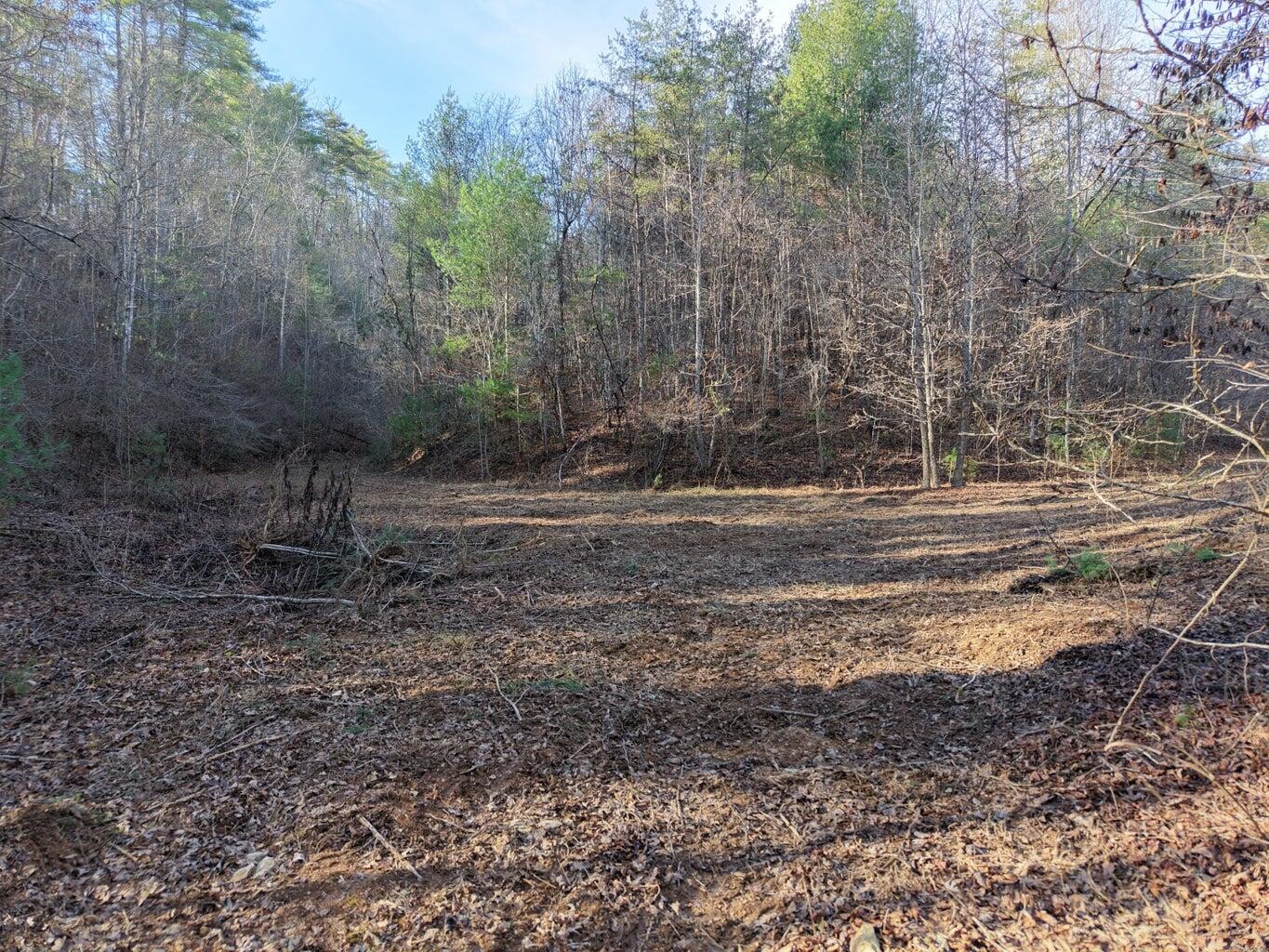 0 Bakers Creek Road Property Photo 1