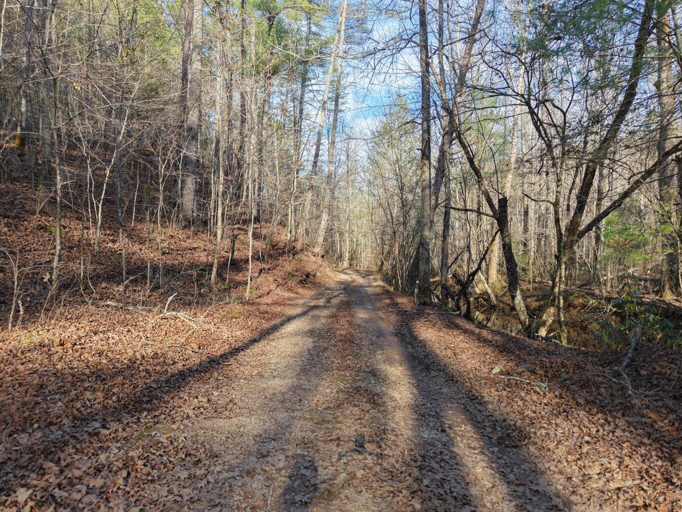 0 Bakers Creek Road Property Photo 3