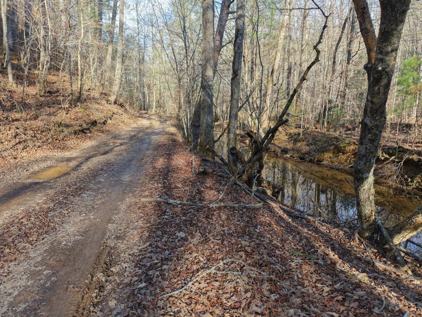 0 Bakers Creek Road Property Photo 4