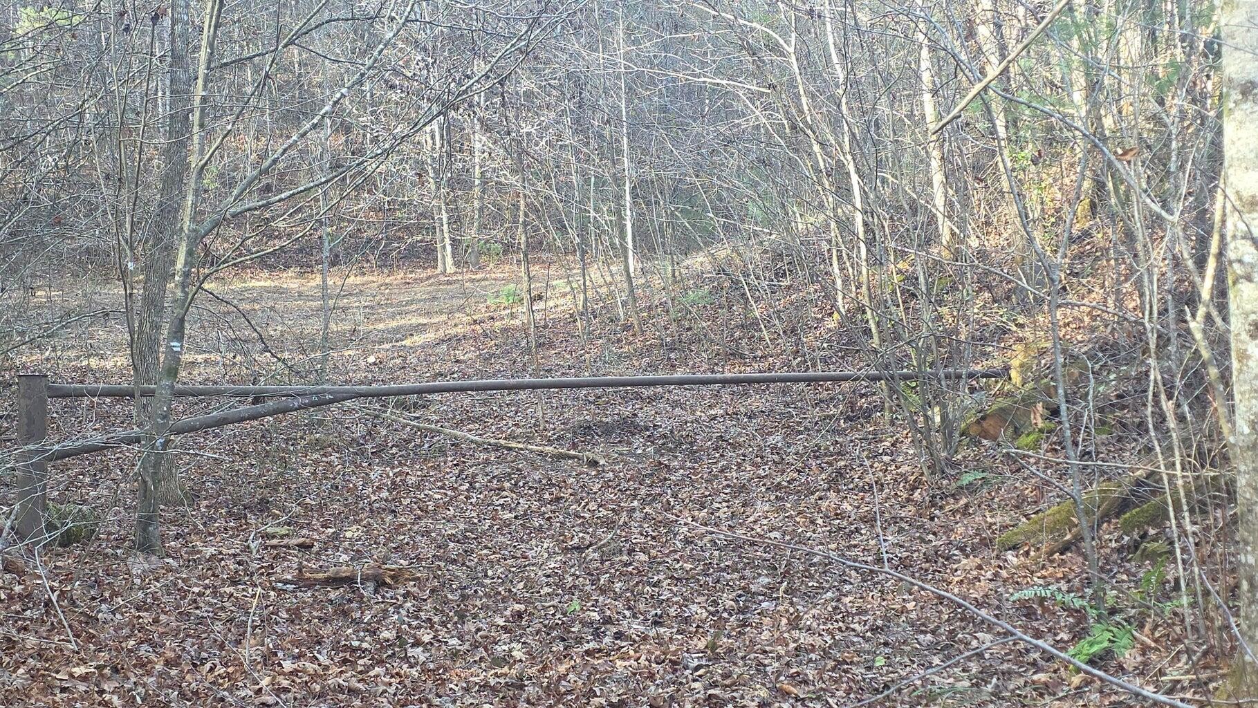 0 Bakers Creek Road Property Photo 5