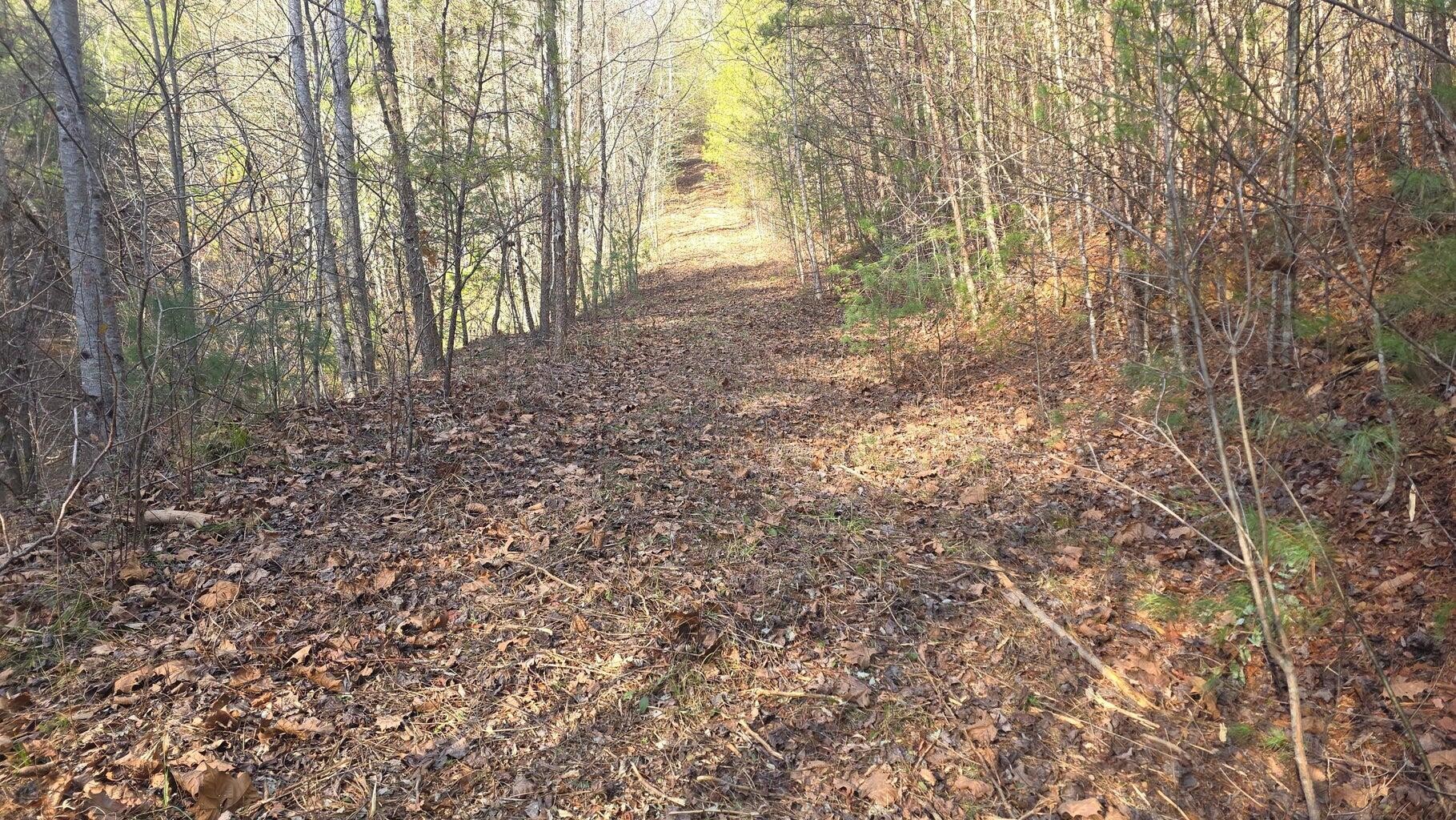 0 Bakers Creek Road Property Photo 7