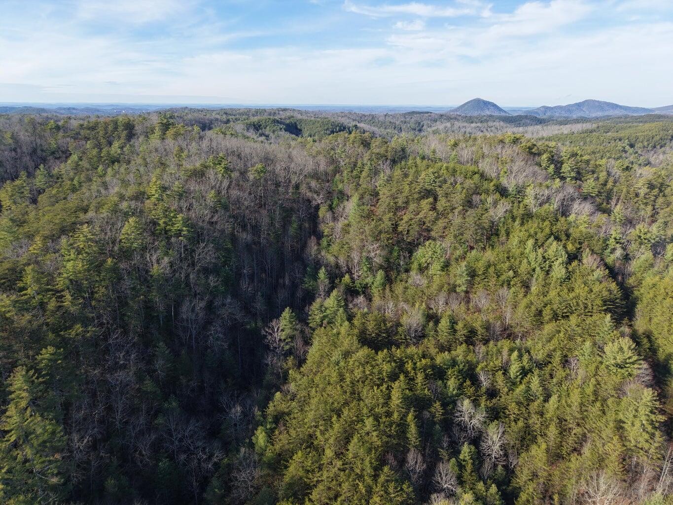 0 Bakers Creek Road Property Photo 9