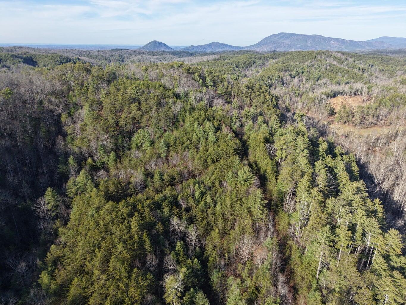 0 Bakers Creek Road Property Photo 10