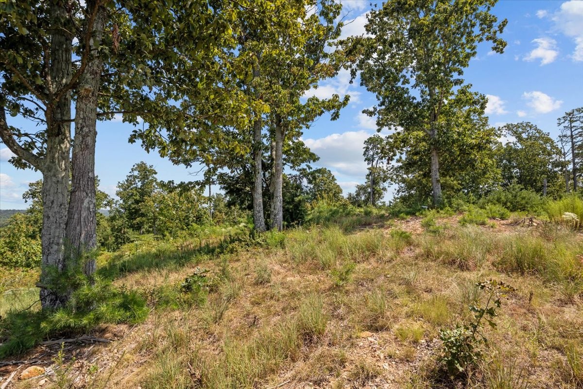 90 Float Dr Property Photo 25