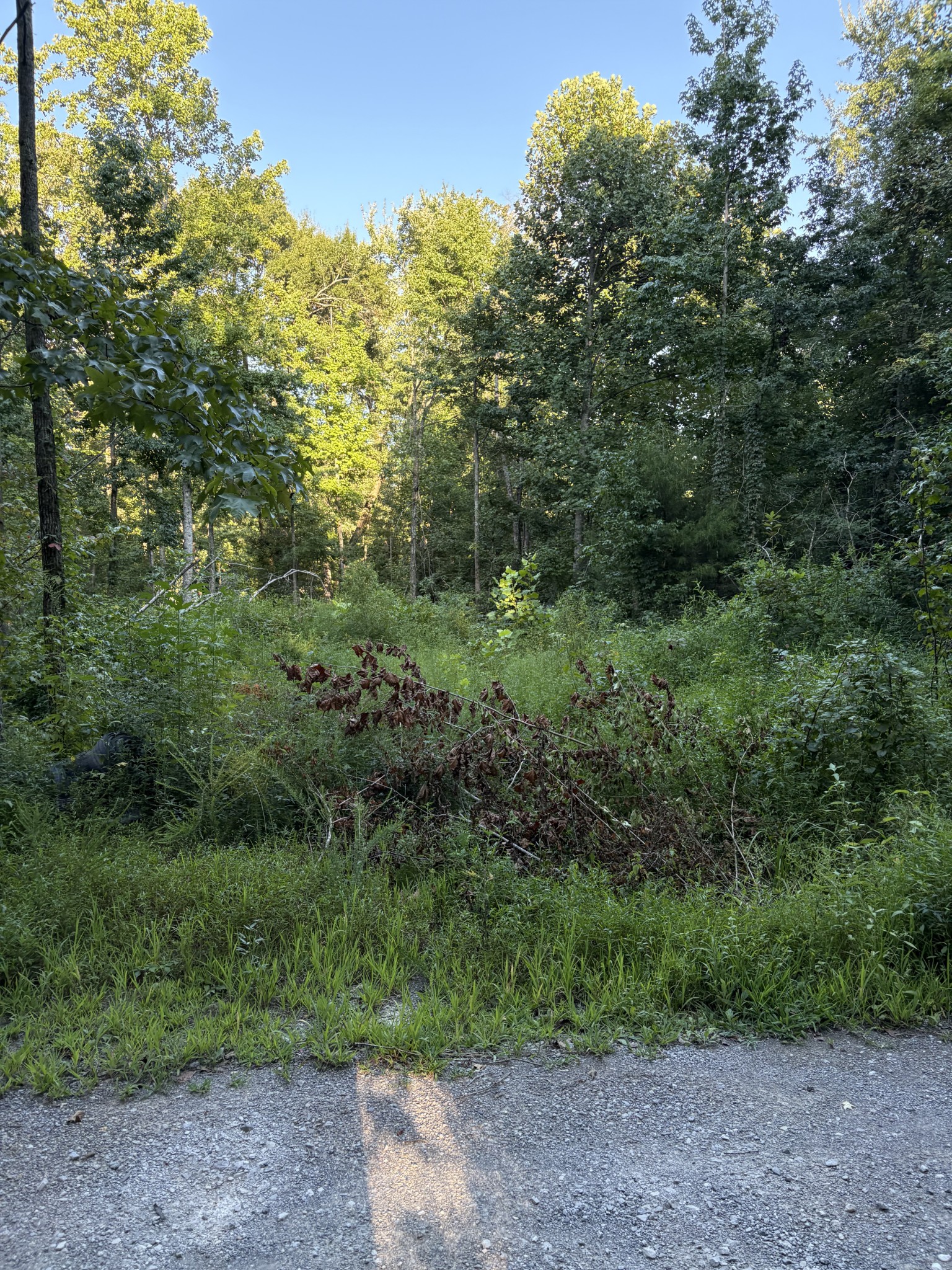 0 Shiloh Rd Property Photo 2