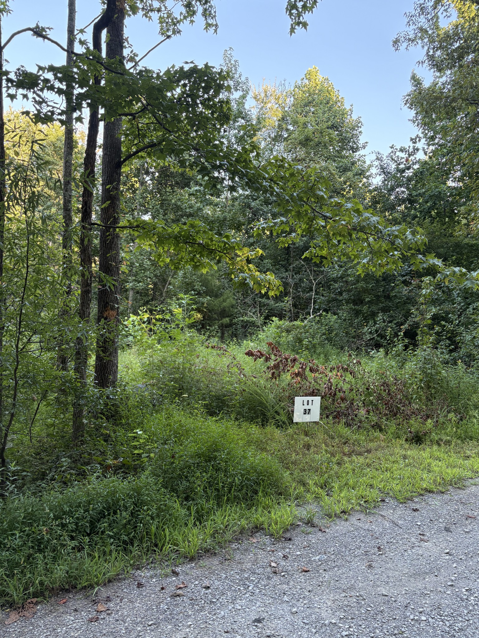 0 Shiloh Rd Property Photo 3