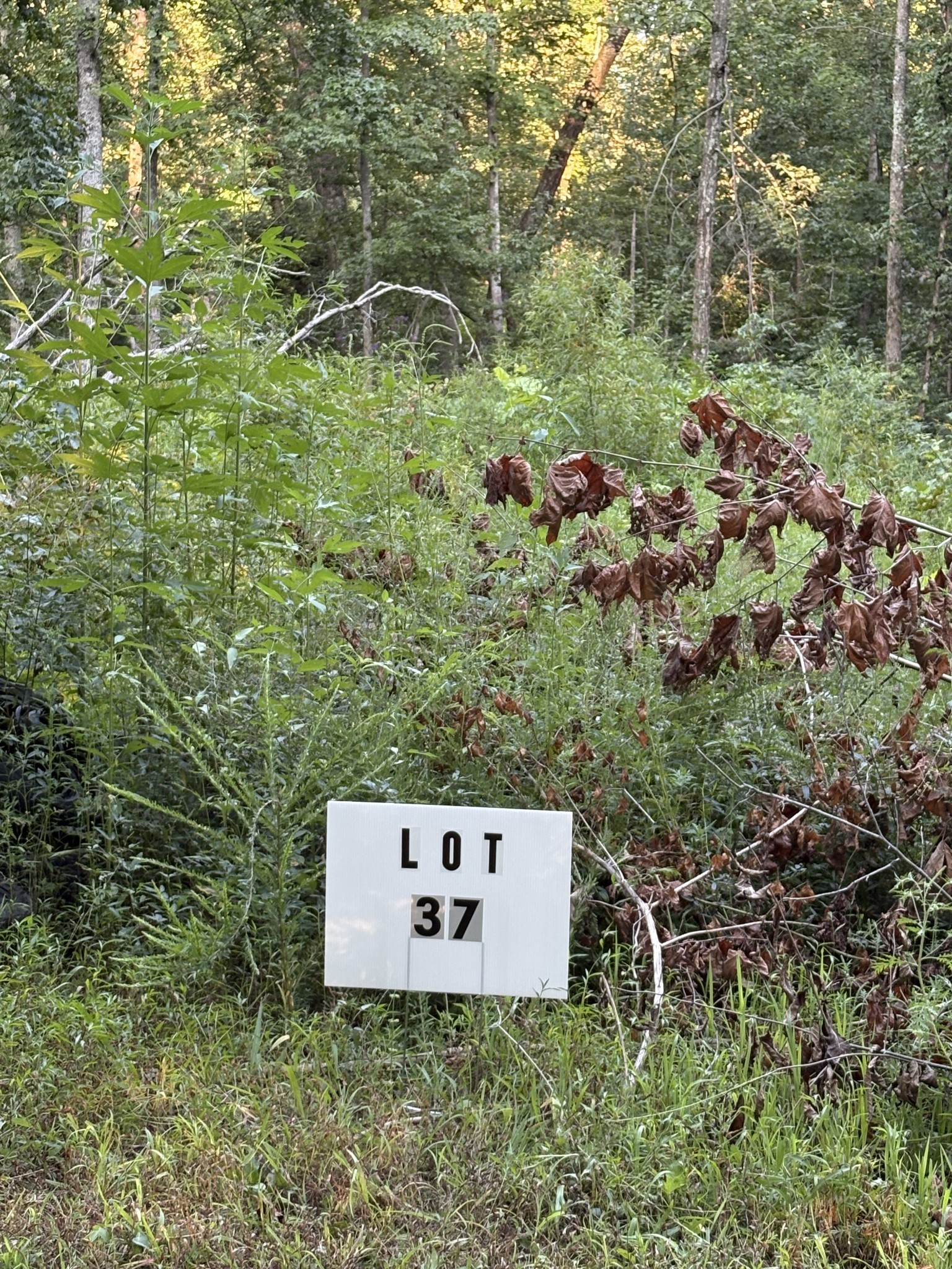 0 Shiloh Rd Property Photo 4