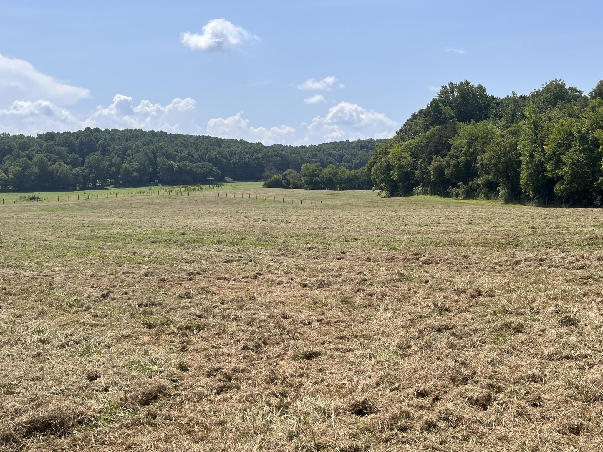 160 County Road 968 Property Photo 4