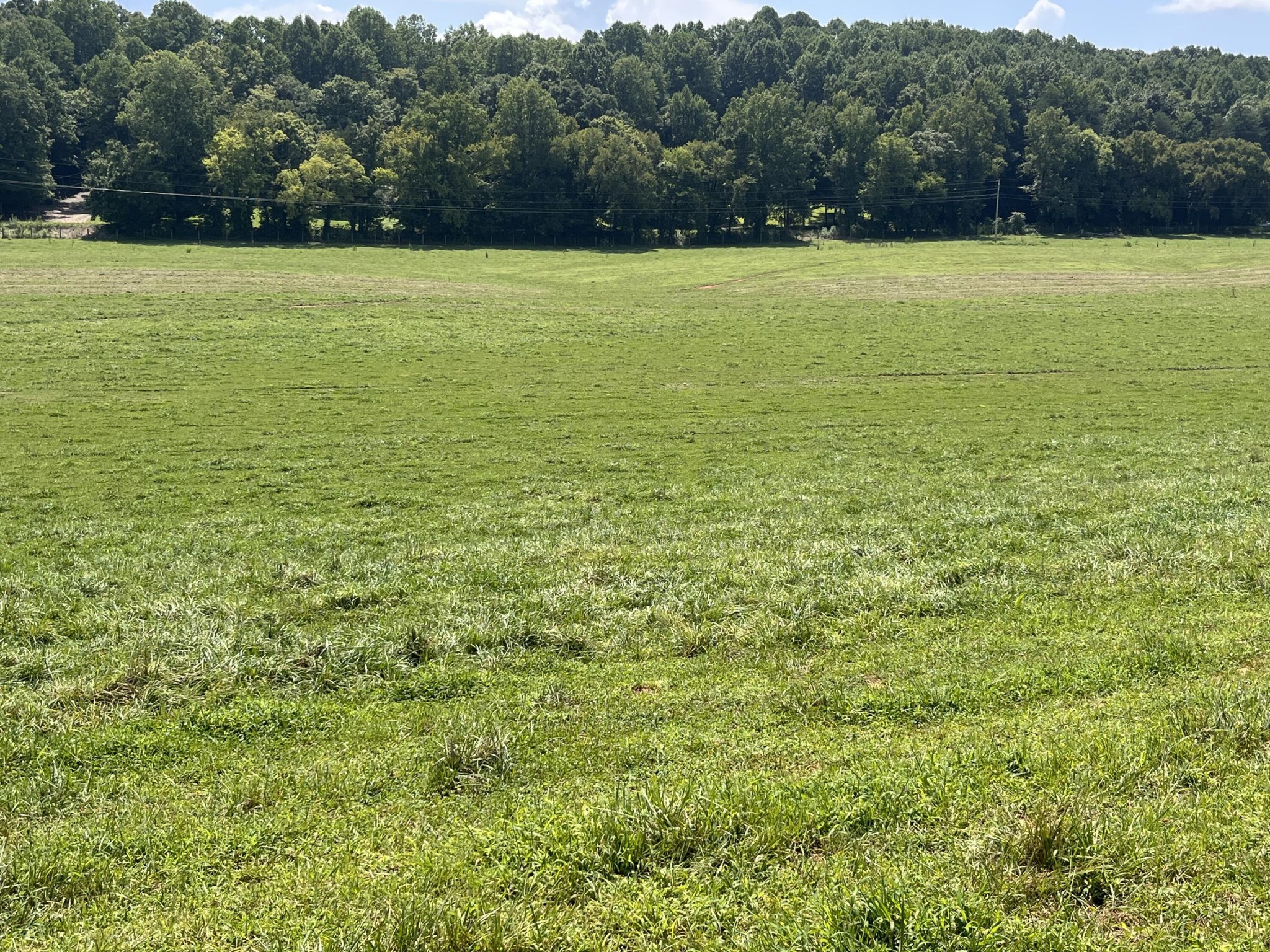 160 County Road 968 Property Photo 16