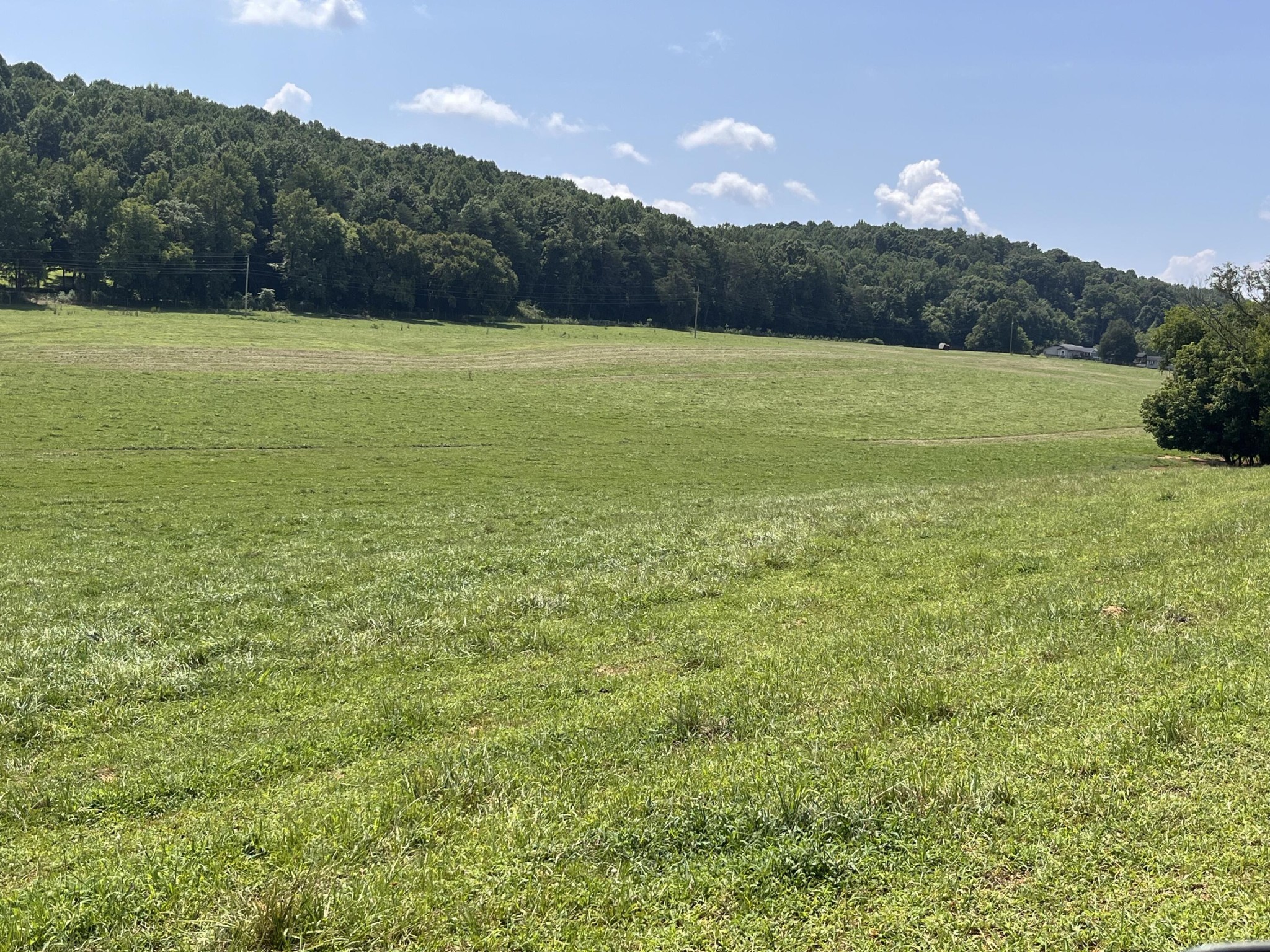 160 County Road 968 Property Photo 17