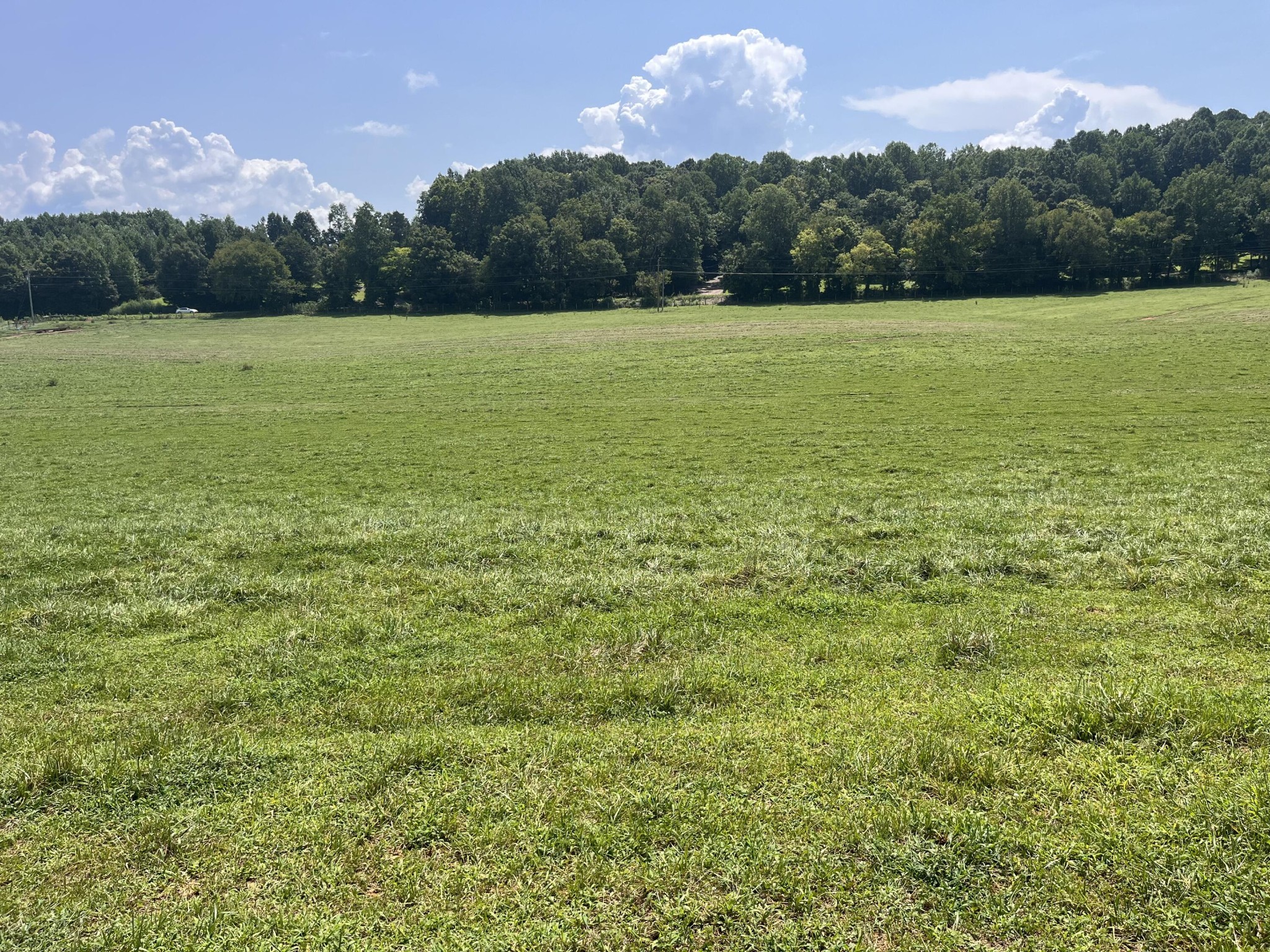 160 County Road 968 Property Photo 18