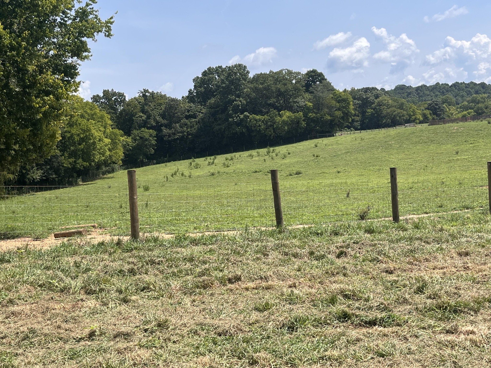 160 County Road 968 Property Photo 20