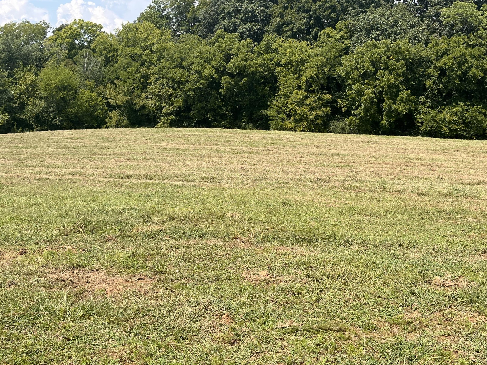 160 County Road 968 Property Photo 22