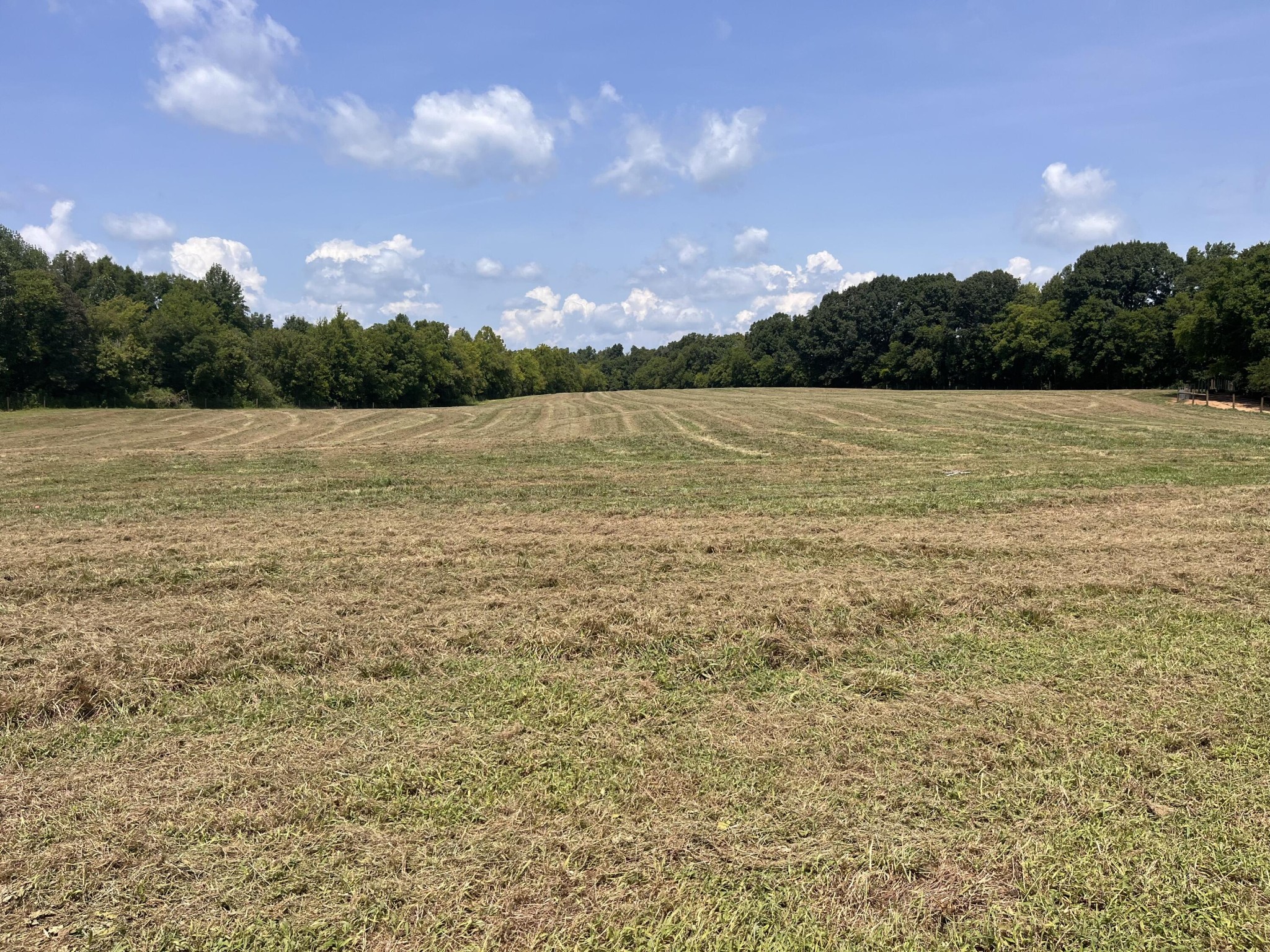 160 County Road 968 Property Photo 26