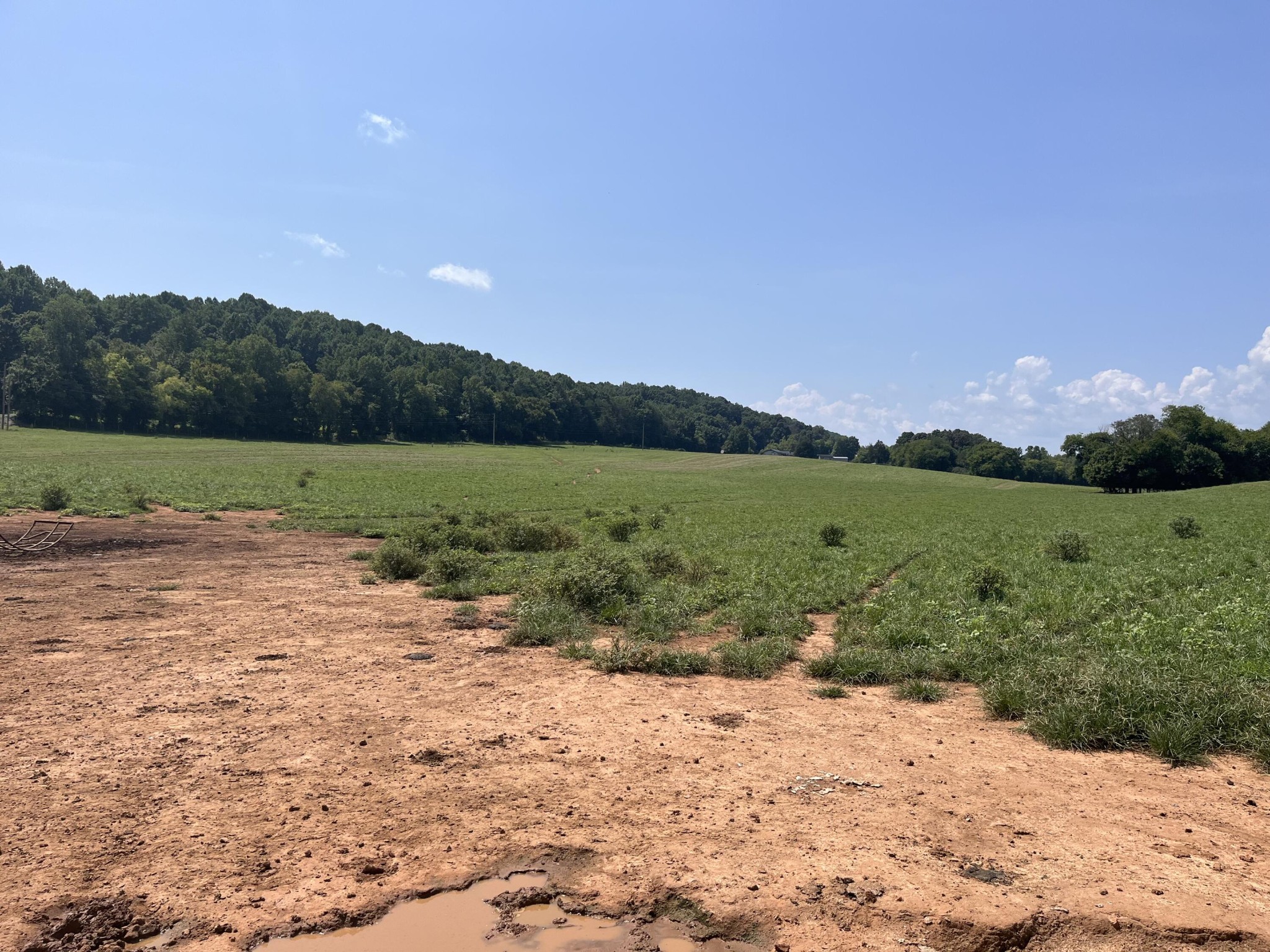 160 County Road 968 Property Photo 28