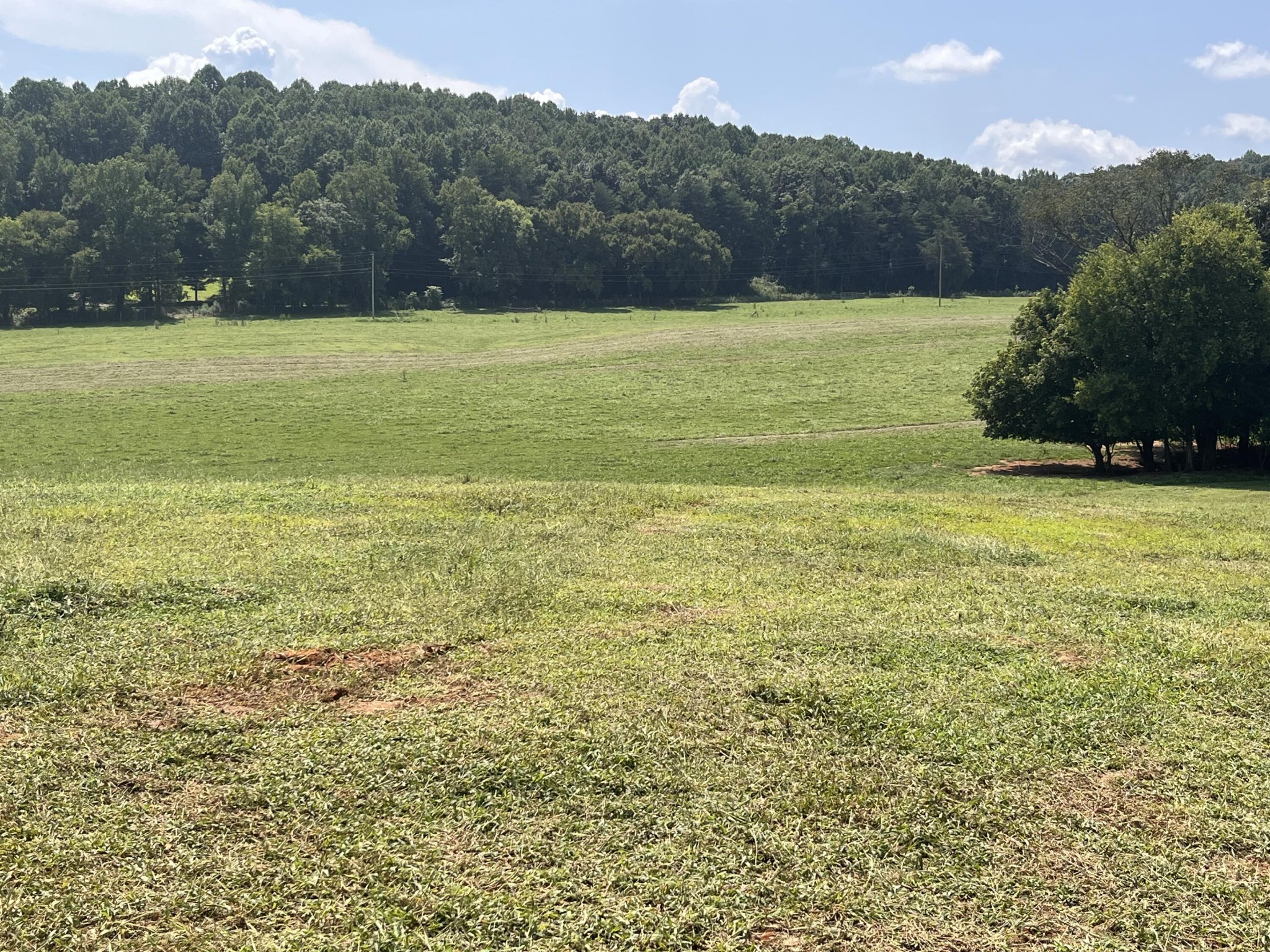 160 County Road 968 Property Photo 29