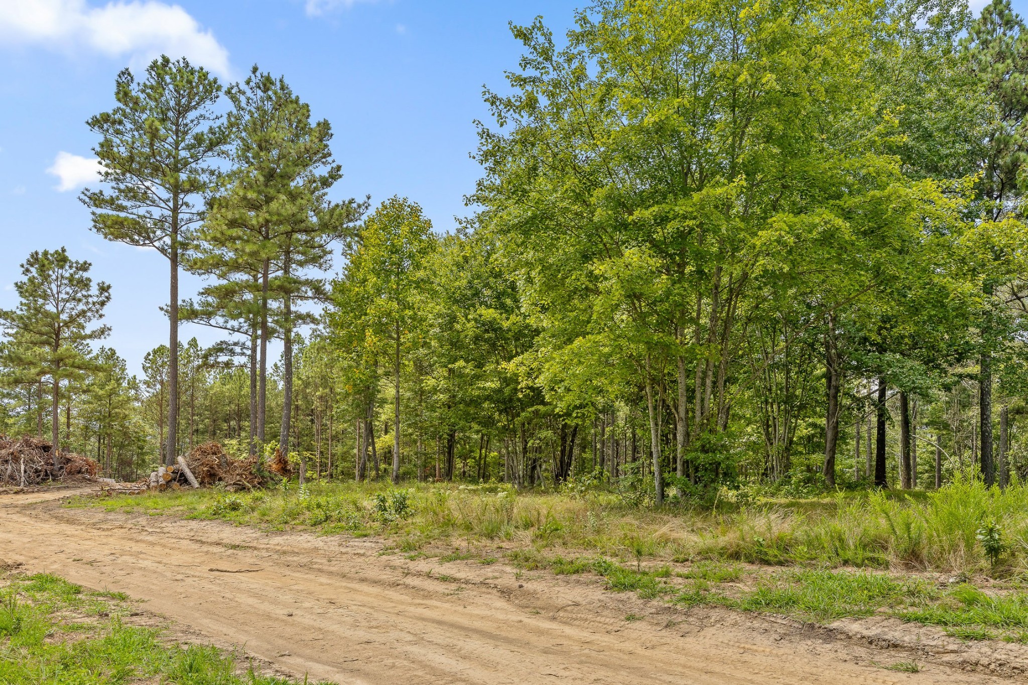 0 Treetop St Property Photo 8