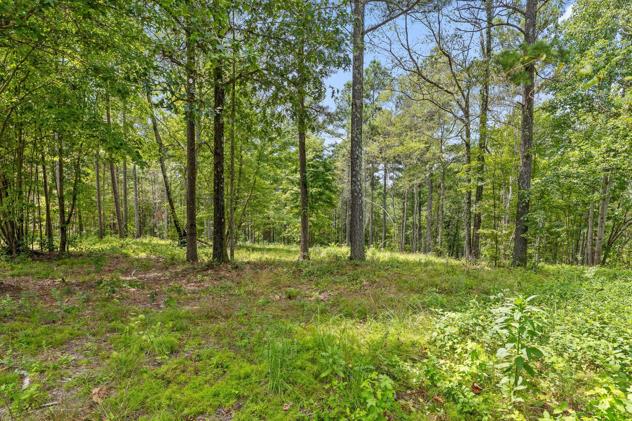 0 Treetop St Property Photo 14