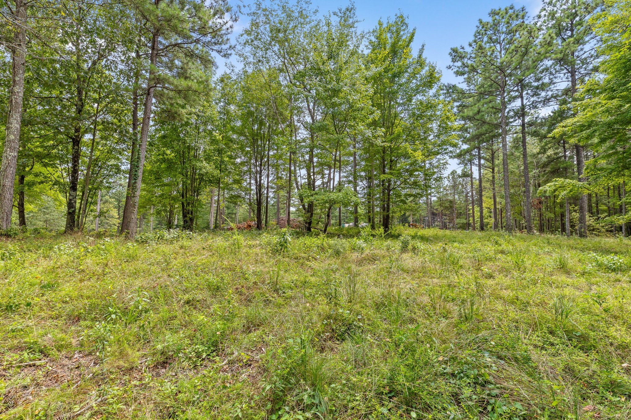 0 Treetop St Property Photo 15