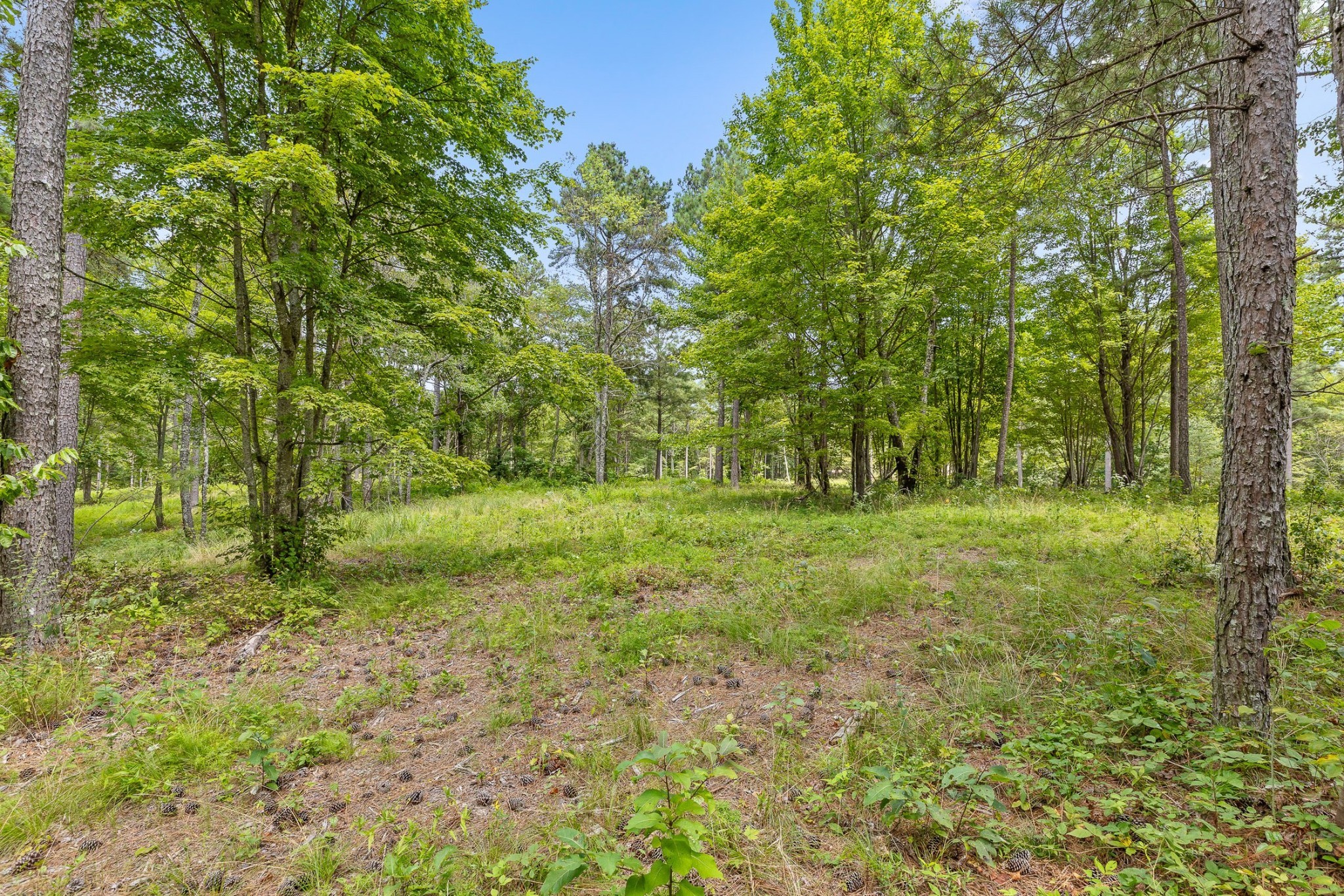 0 Treetop St Property Photo 17
