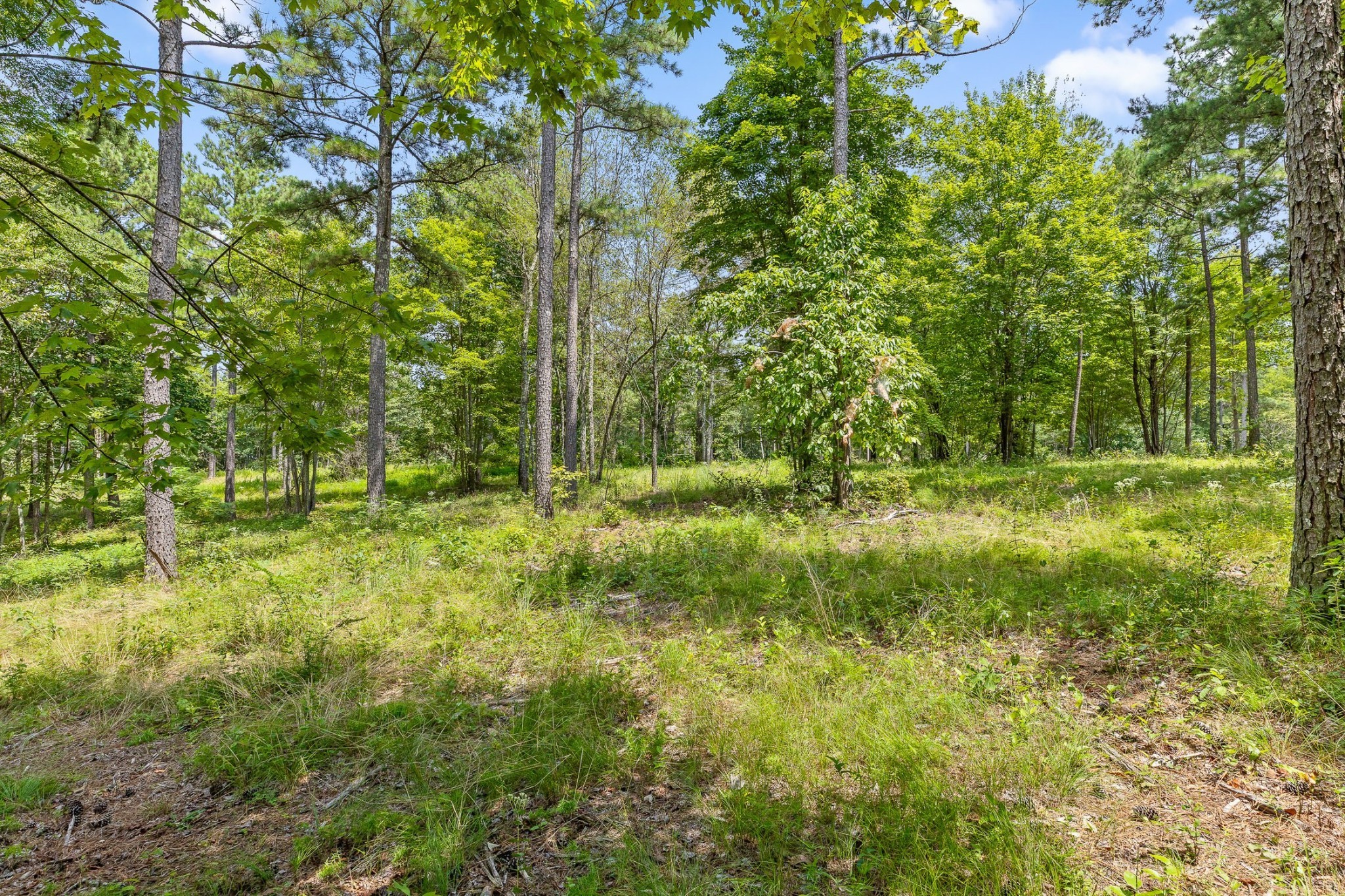 0 Treetop St Property Photo 19
