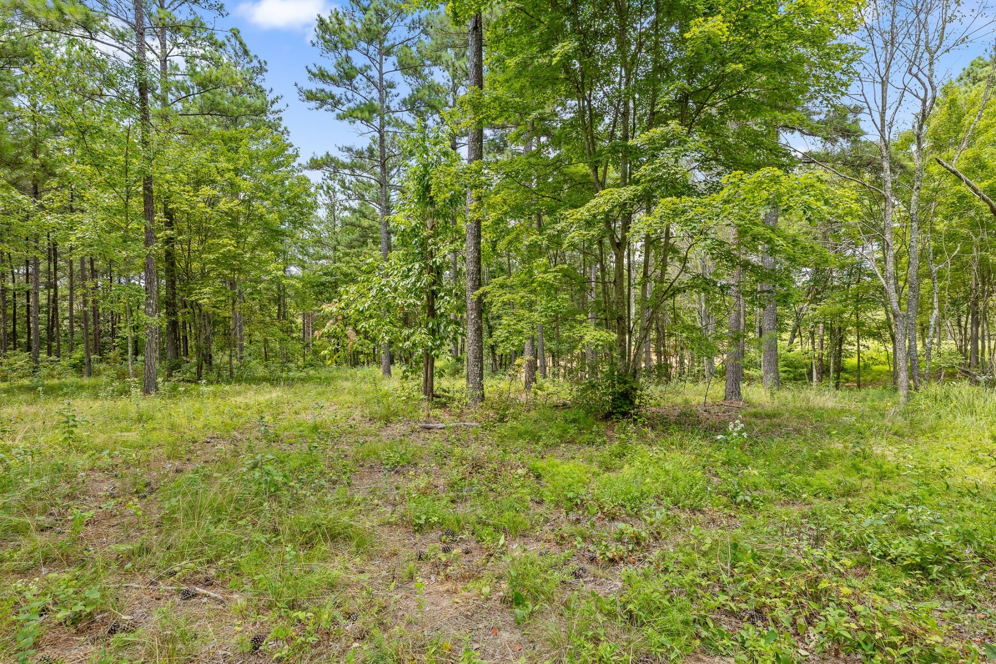 0 Treetop St Property Photo 20