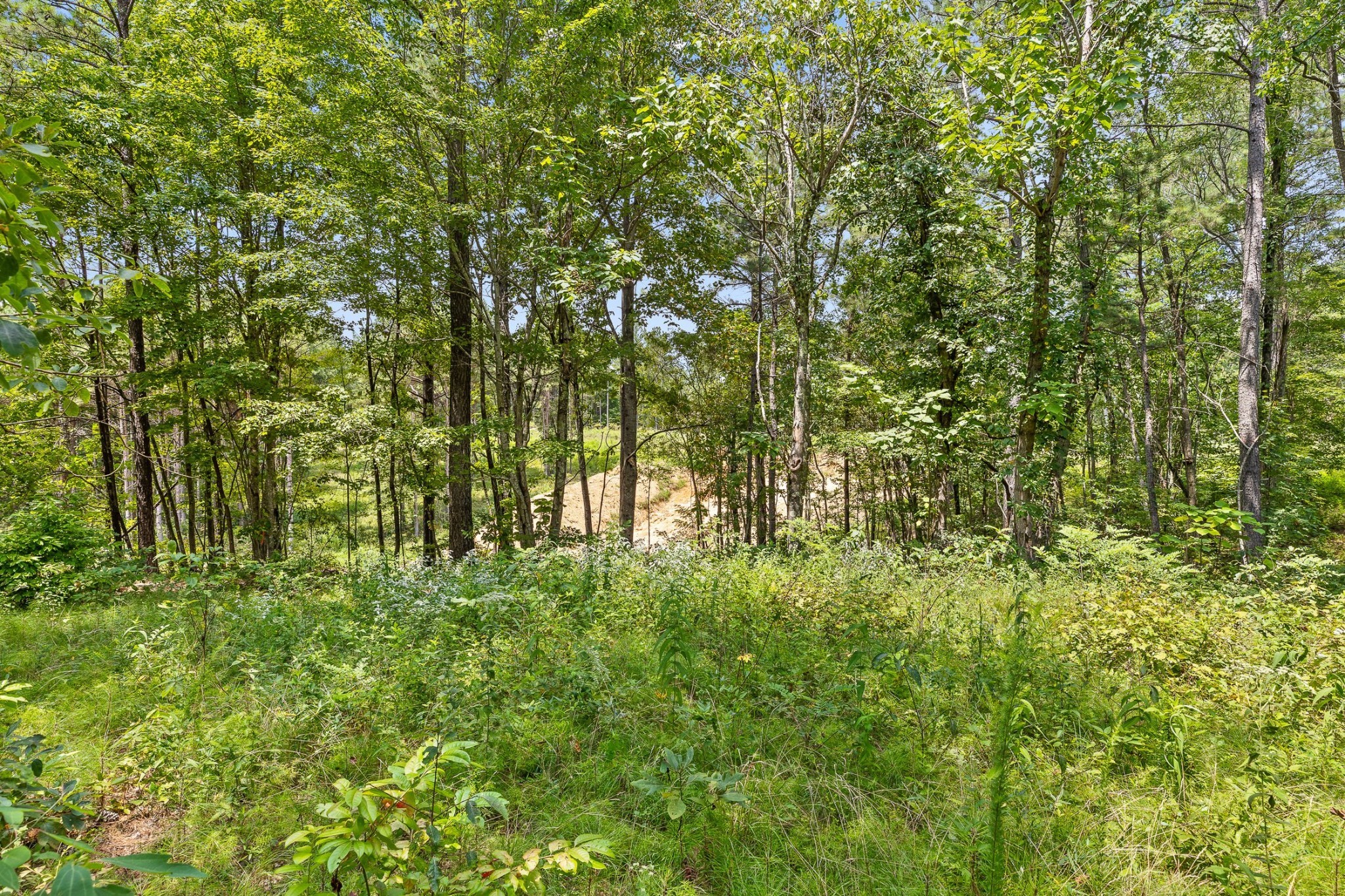 0 Treetop St Property Photo 21