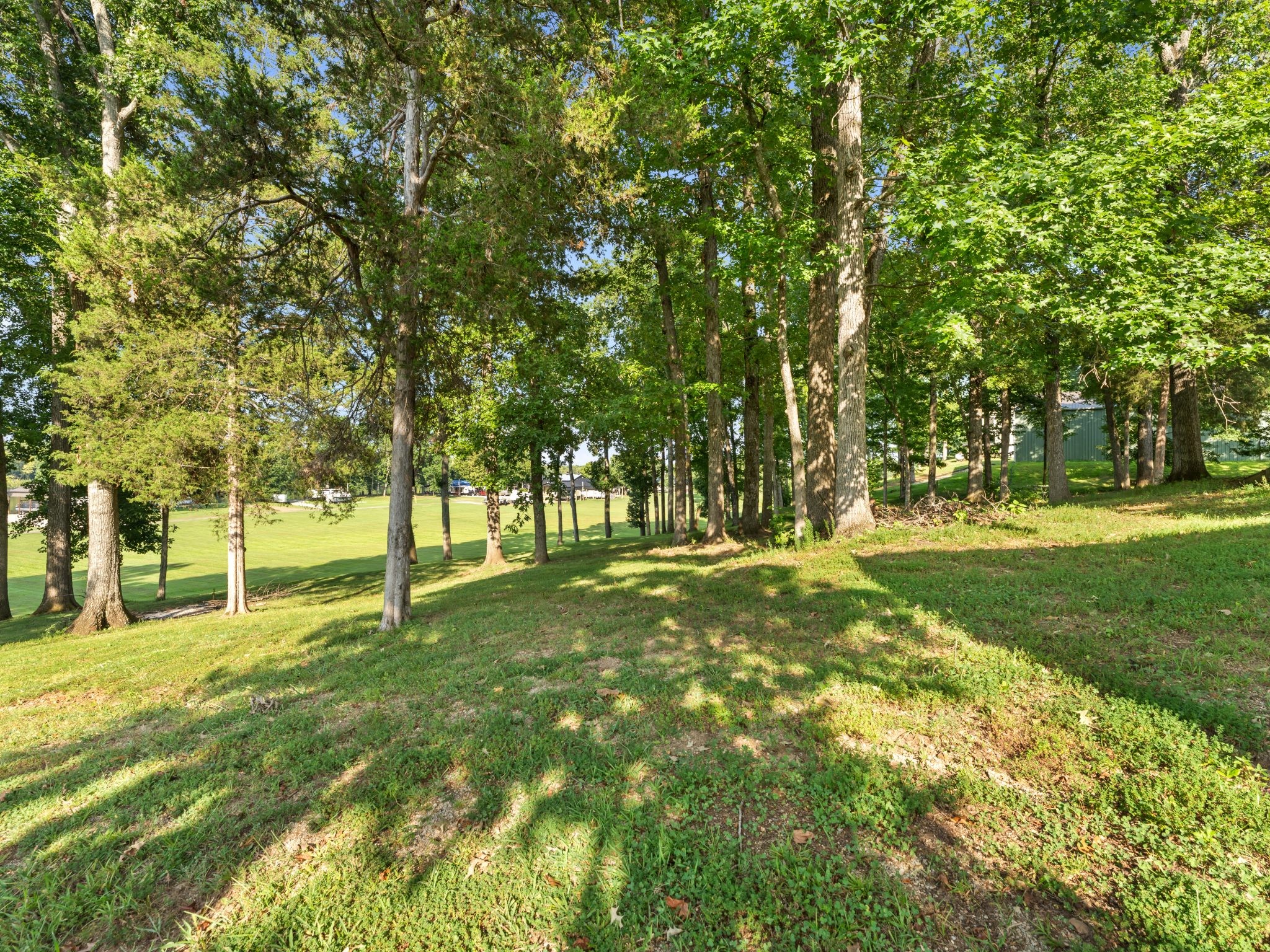 184 Beechview Dr Property Photo 51