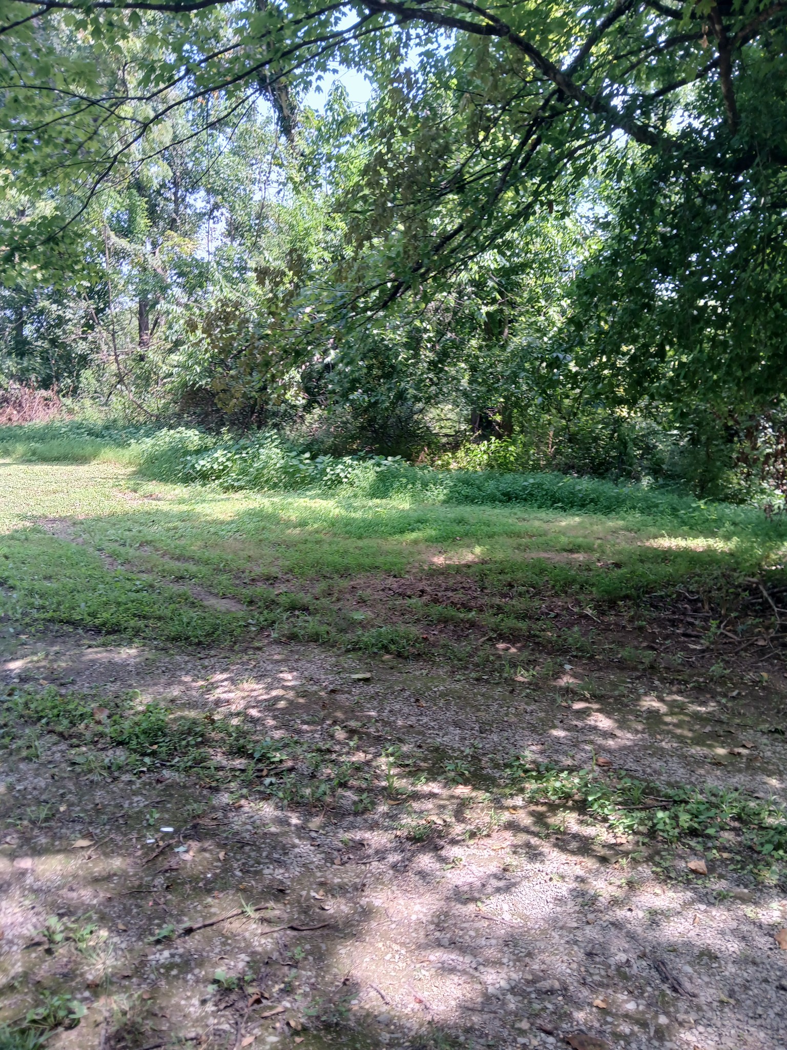 8729 Hester Beasley Rd Property Photo 1