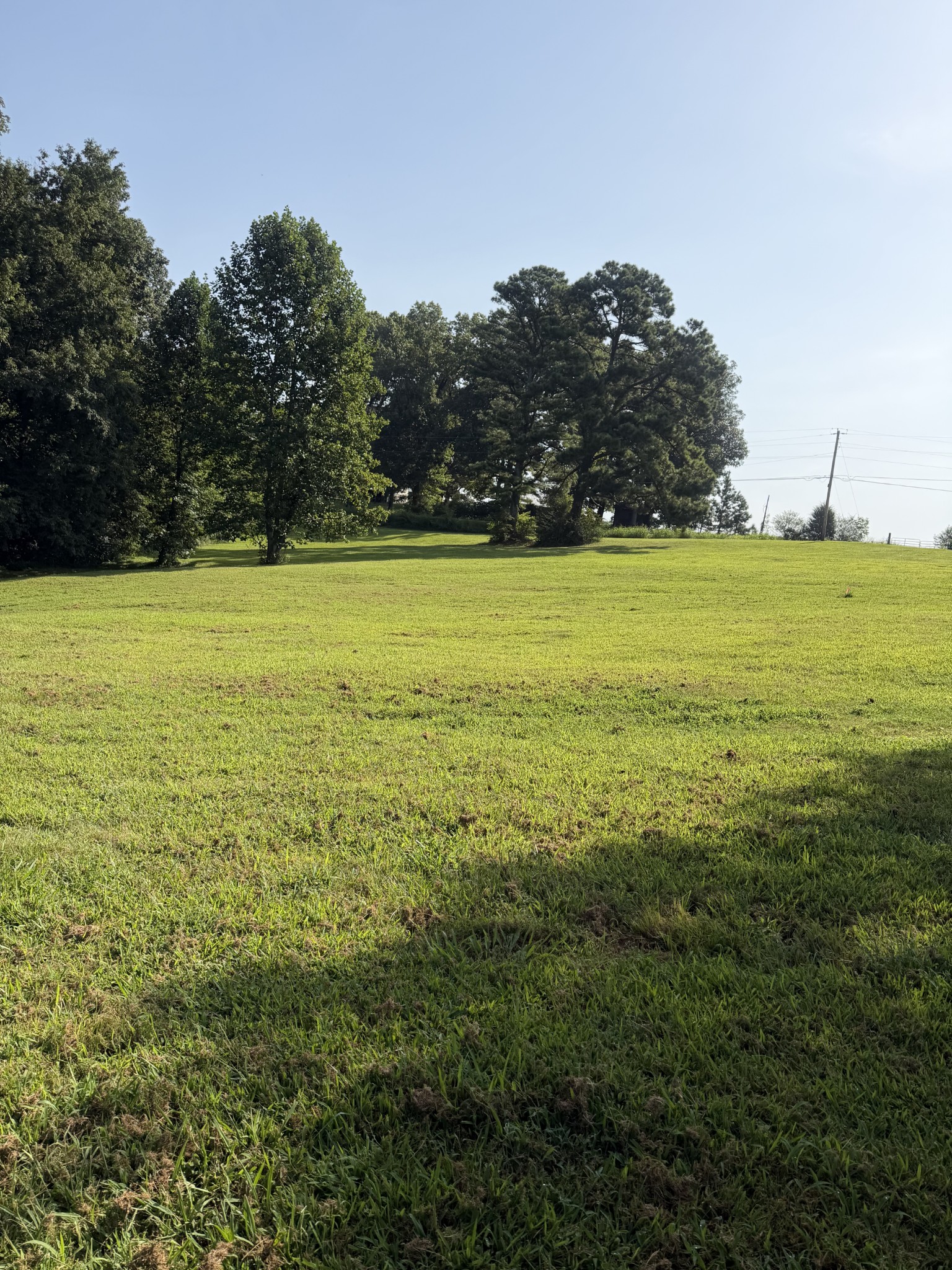 0 Buddy Rd Property Photo 2