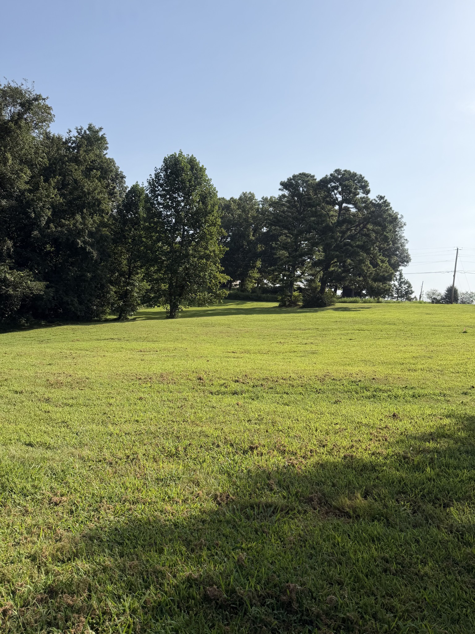 0 Buddy Rd Property Photo 3