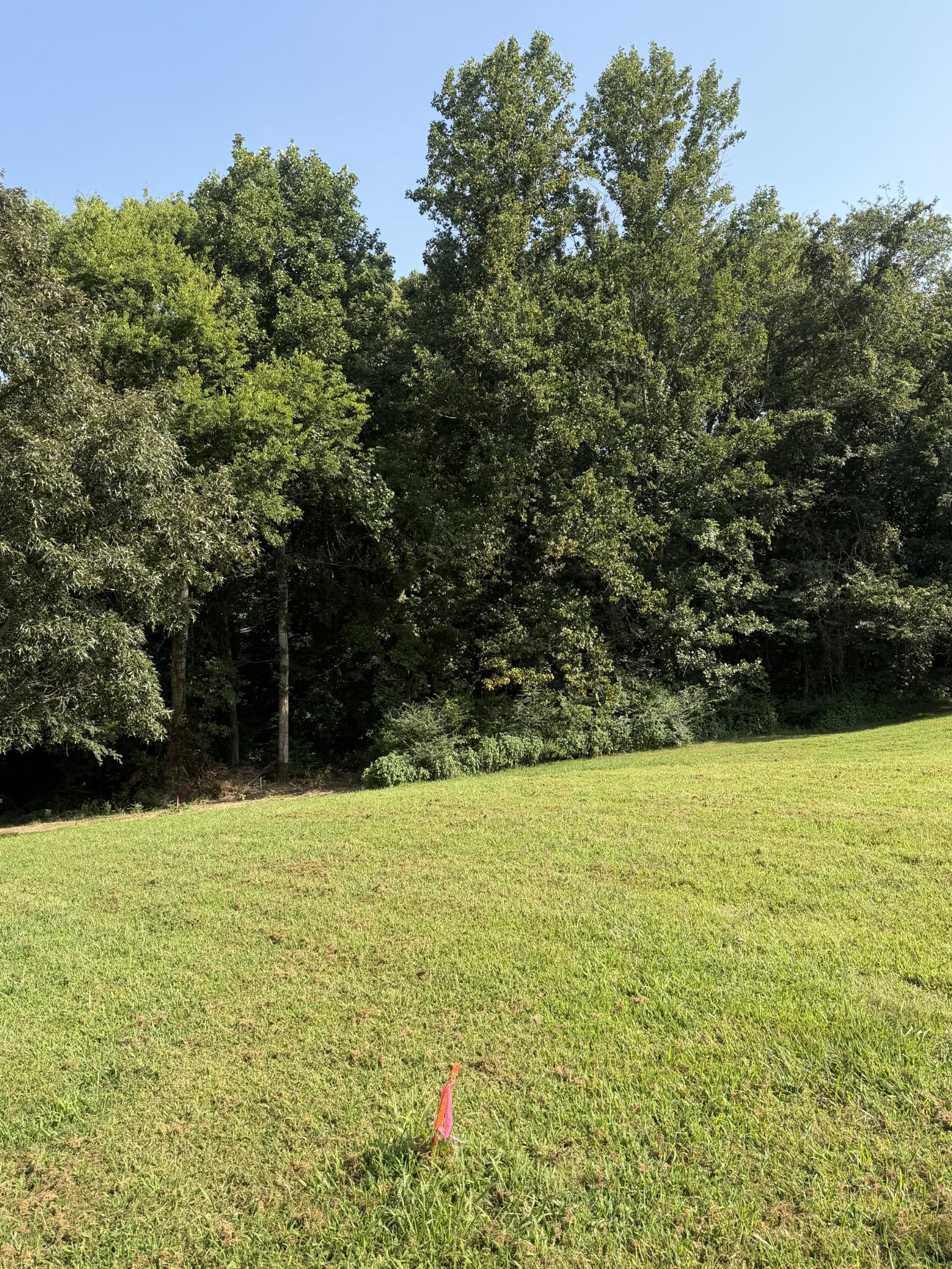 0 Buddy Rd Property Photo 4