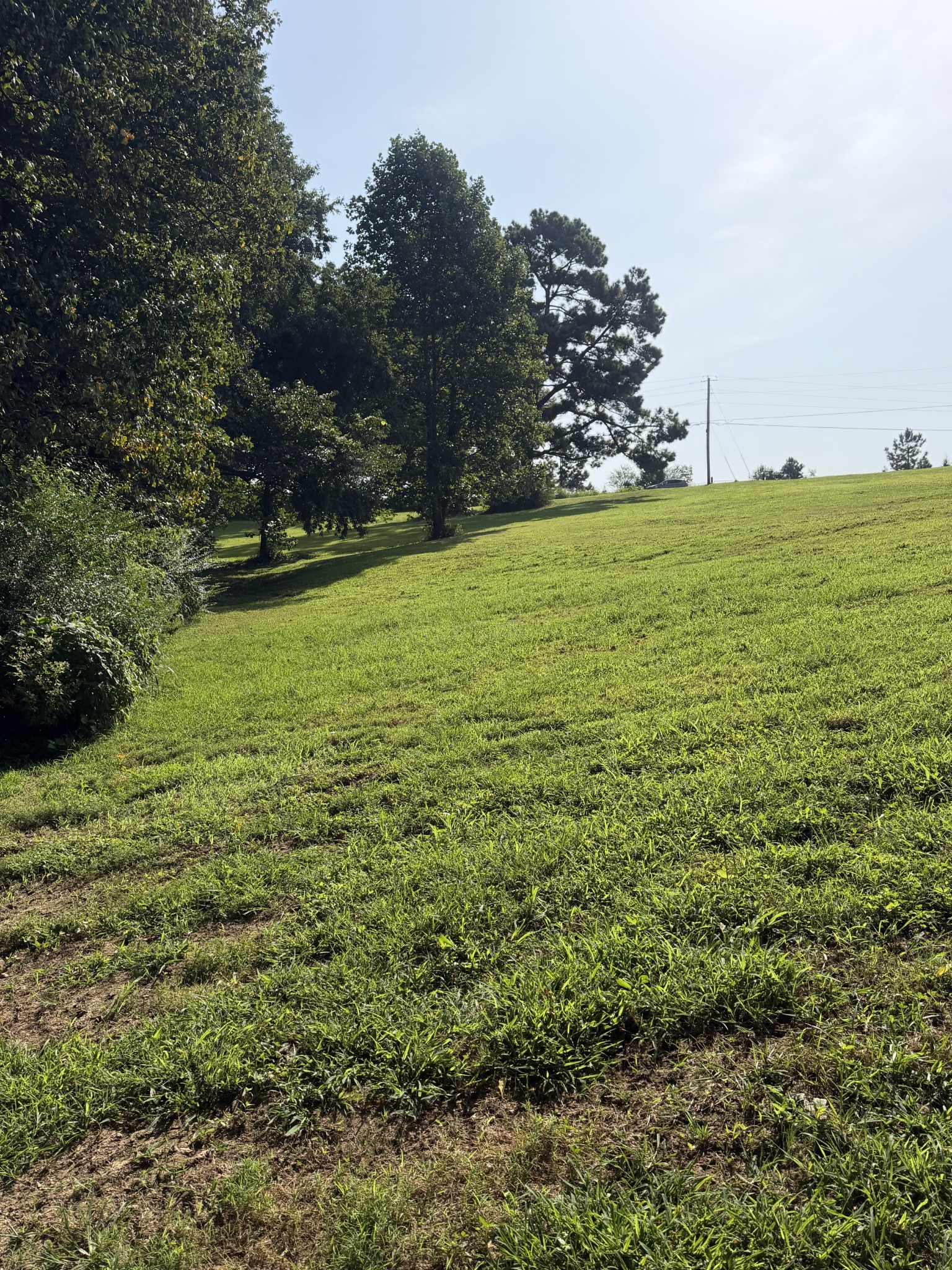 0 Buddy Rd Property Photo 5