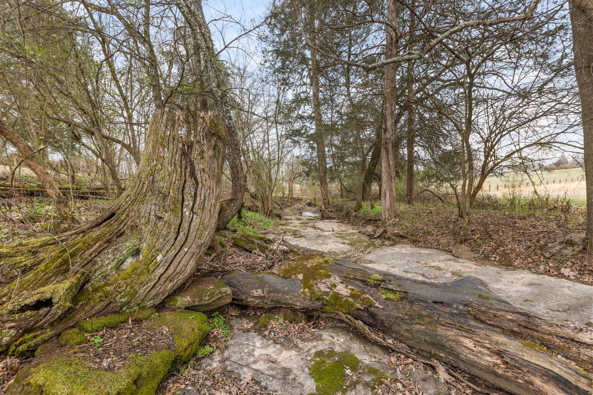 0 Cothran Rd Property Photo 5