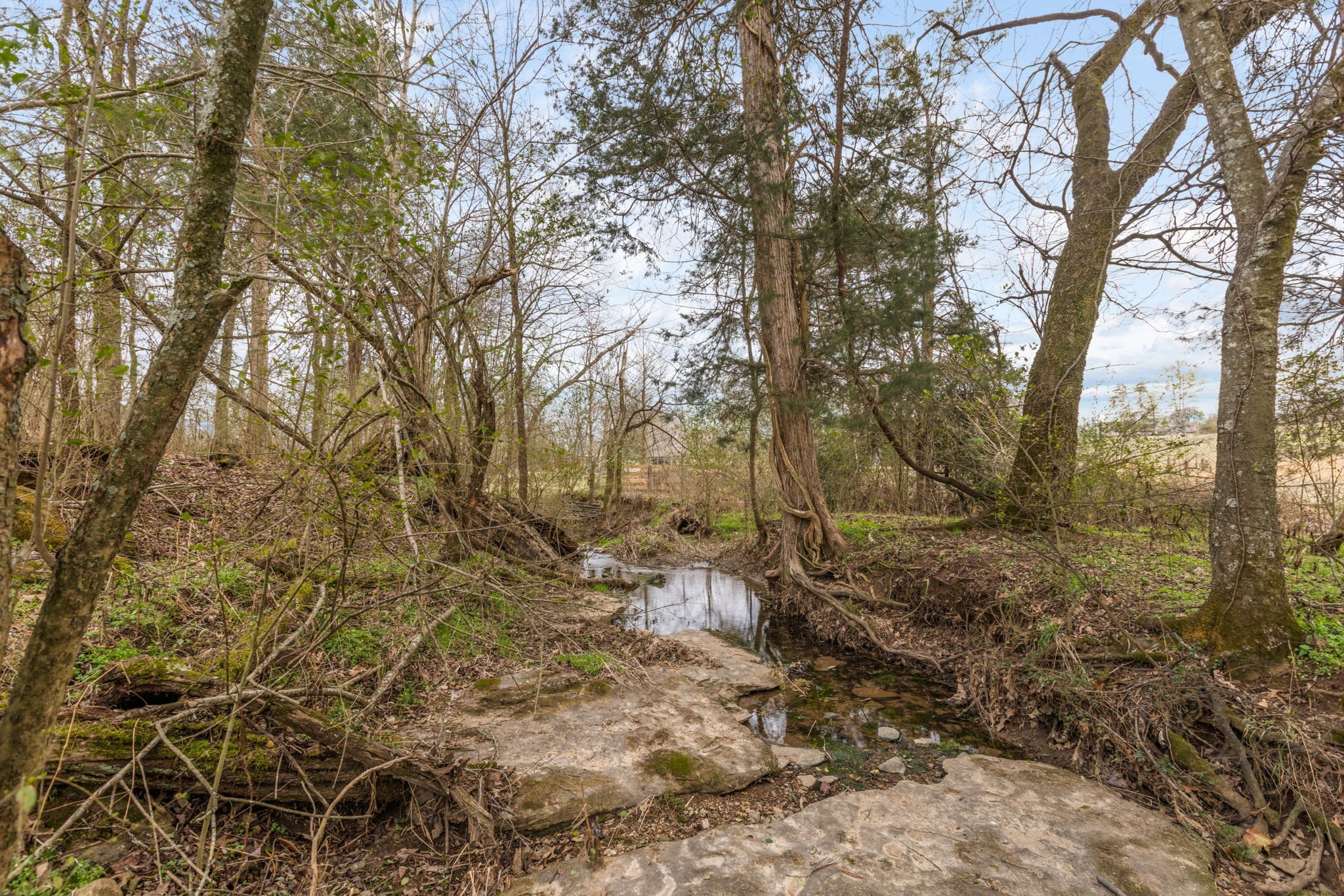 0 Cothran Rd Property Photo 6