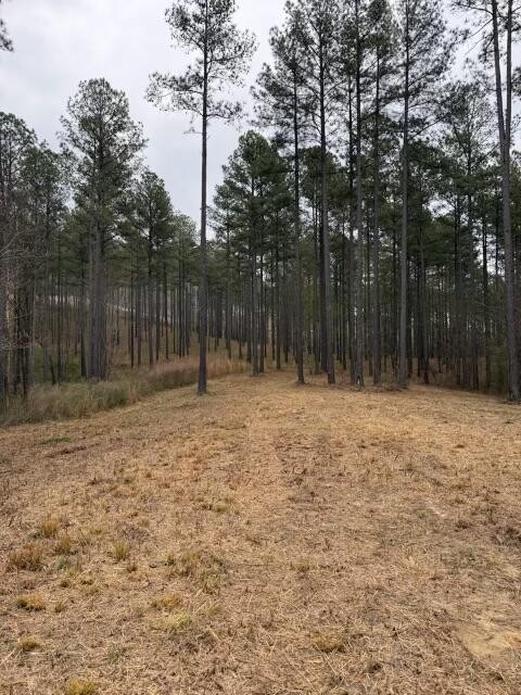 0 Birds Eye Way Property Photo 2
